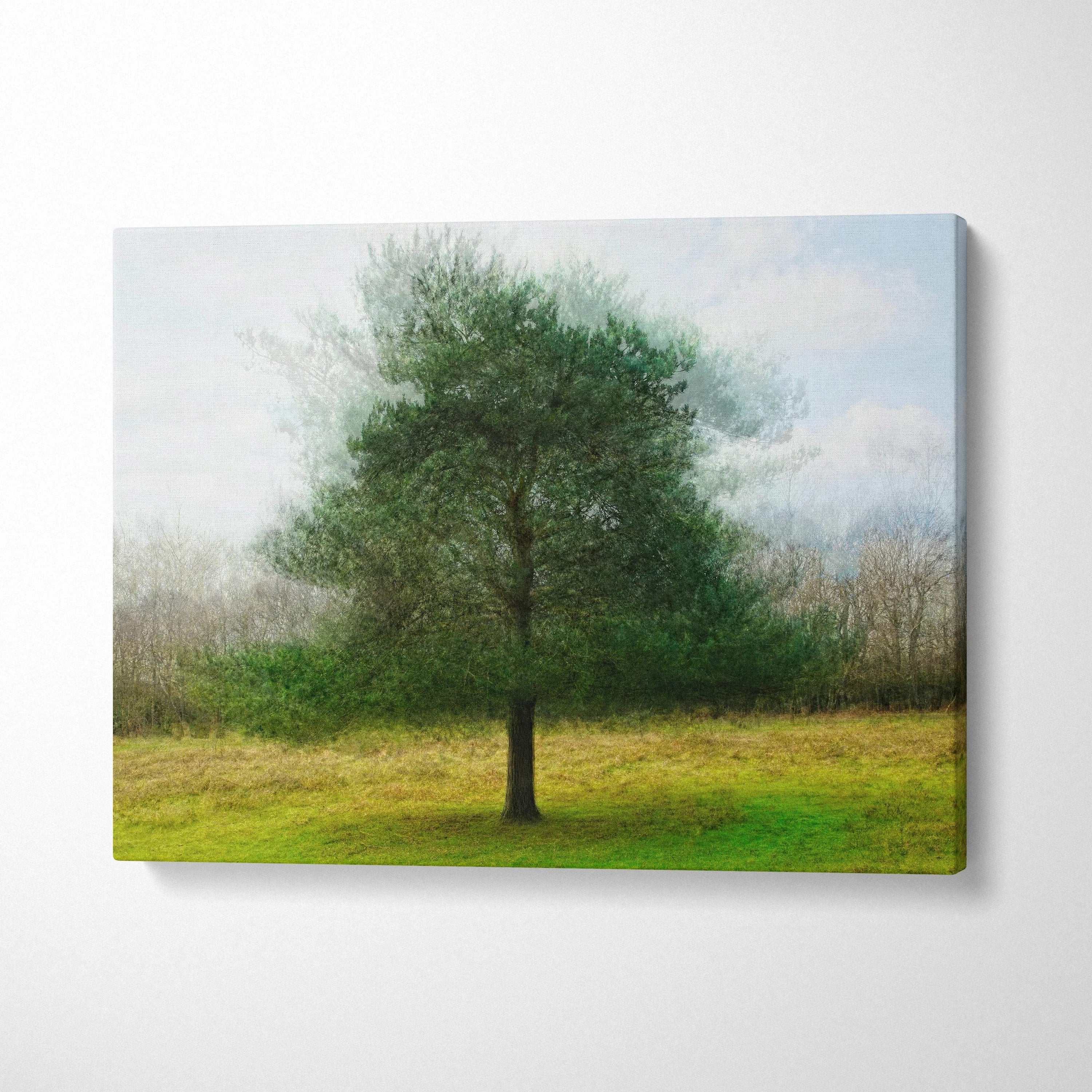 Solitary tree in misty grassy field, painterly green blue canvas art