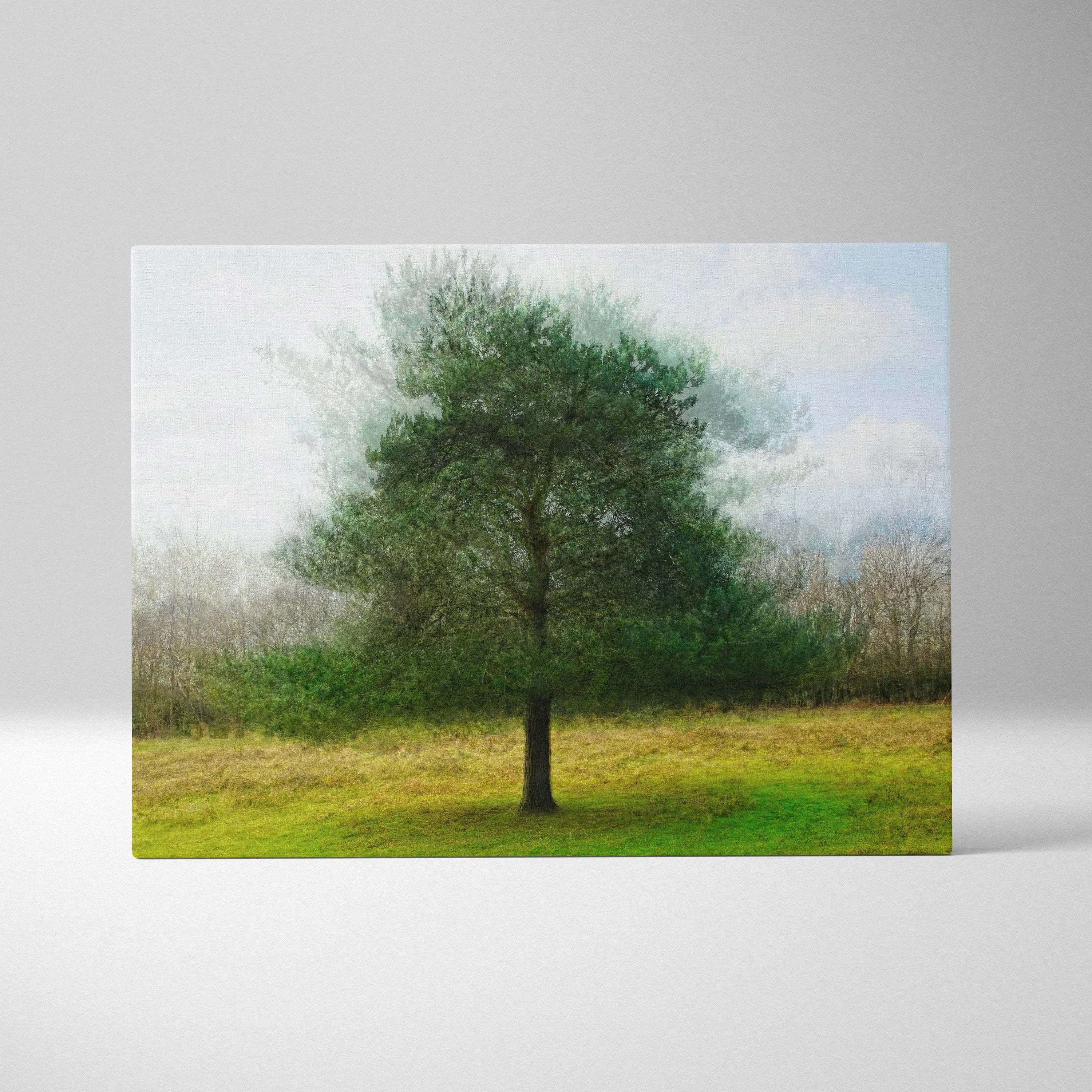 Solitary tree in misty grassy field, dreamy painterly canvas art