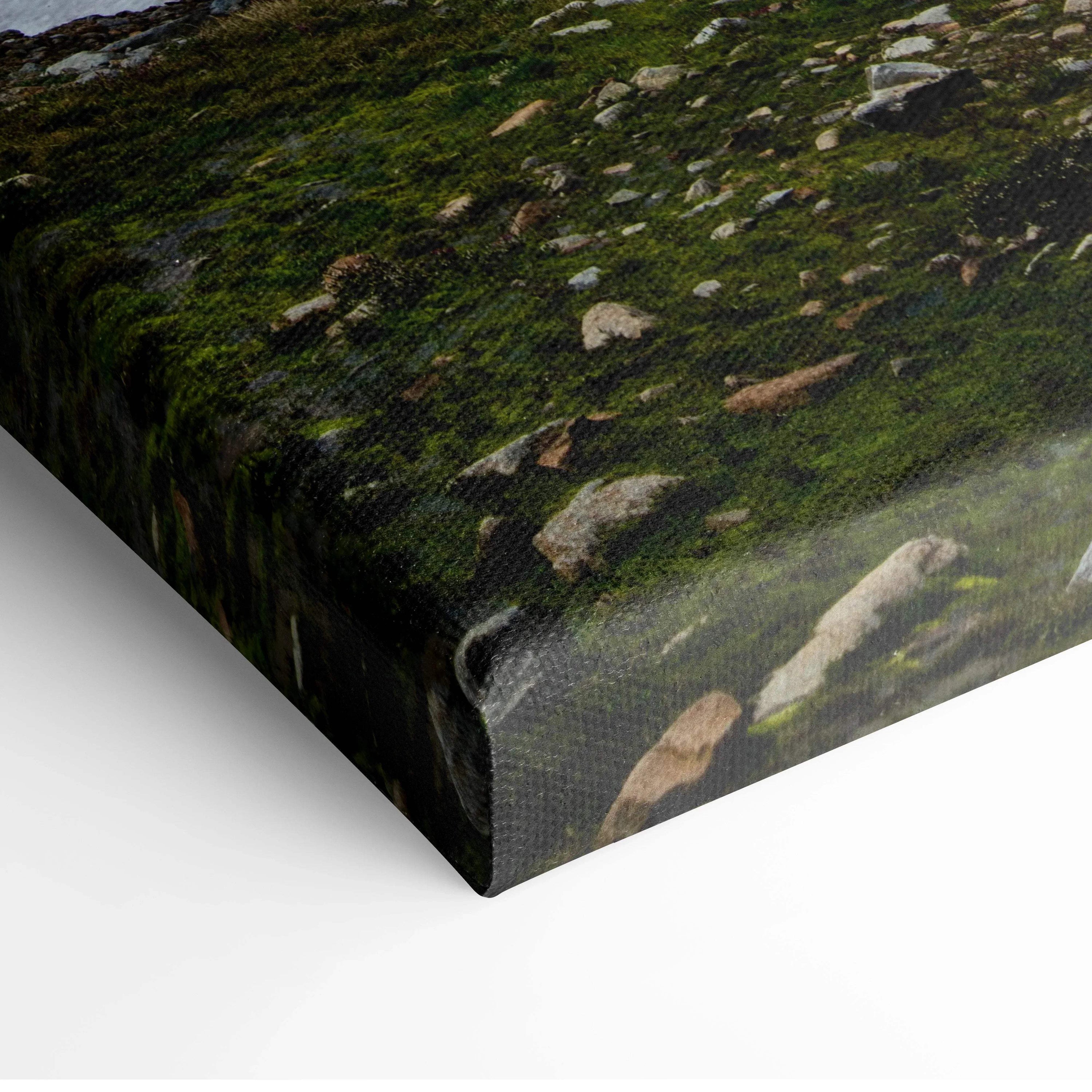 Mountain landscape canvas wall art featuring green moss and rocky terrain close-up texture.