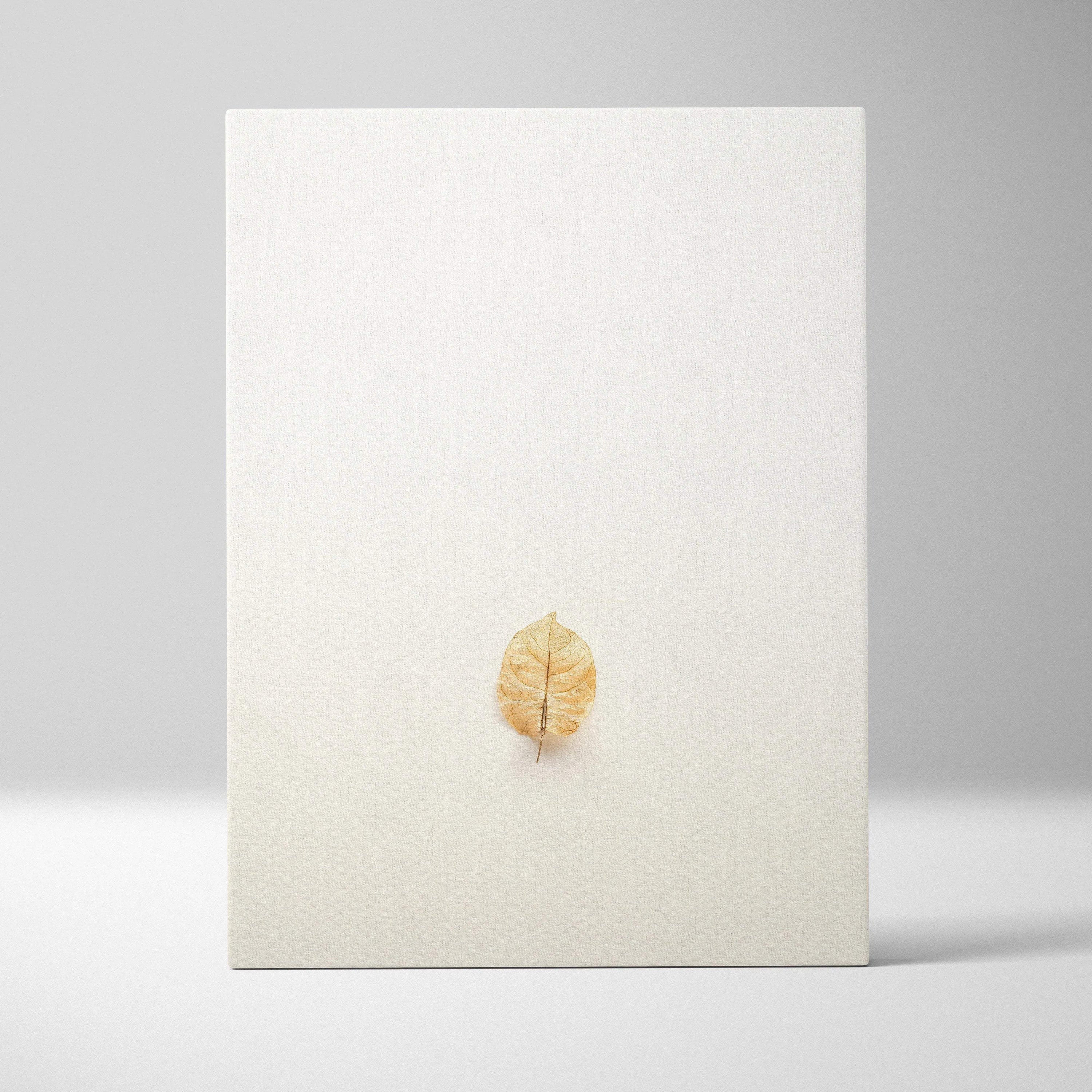 Minimalist golden-brown pressed leaf on warm beige canvas wall art