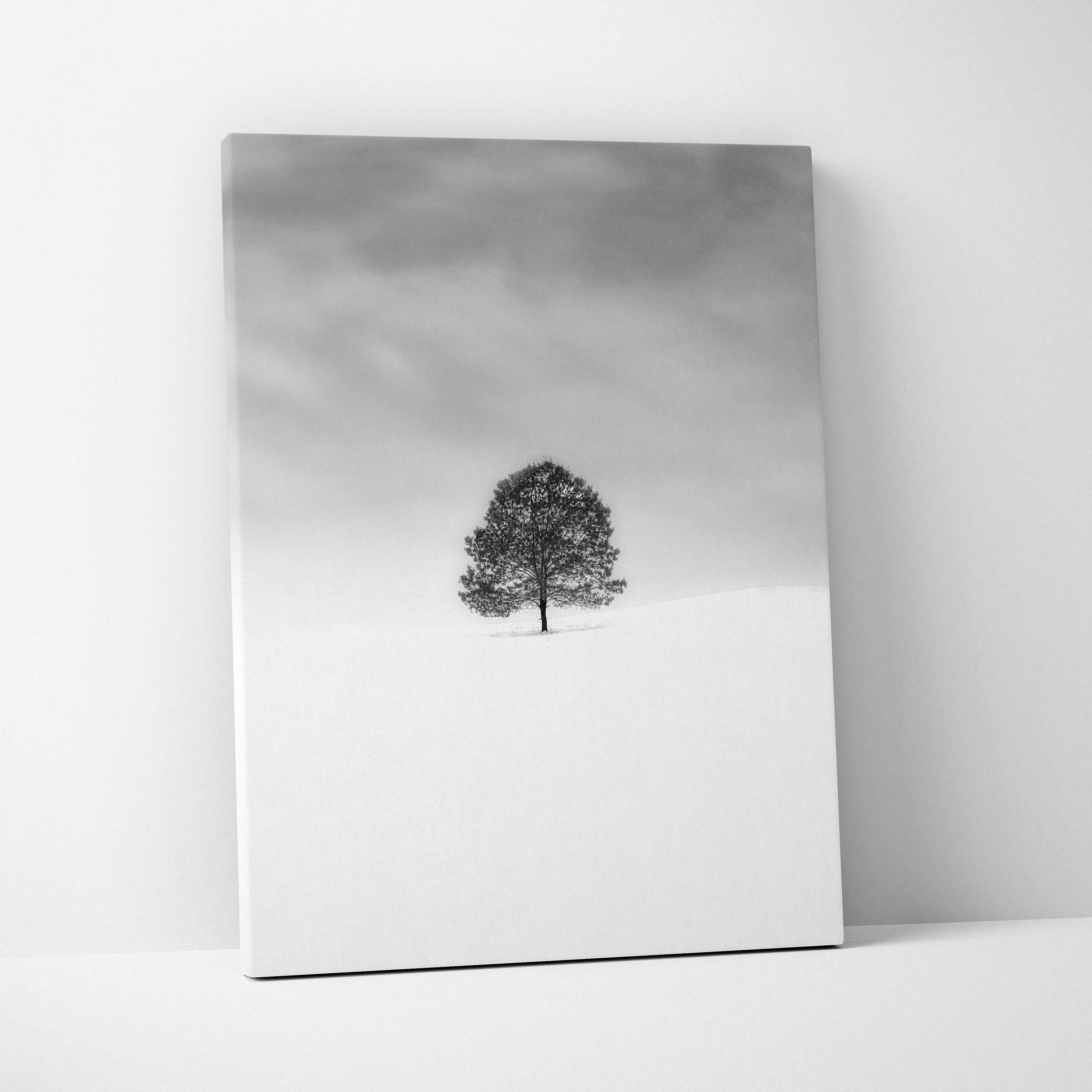 Minimalist black and white lone tree in snowy field canvas print