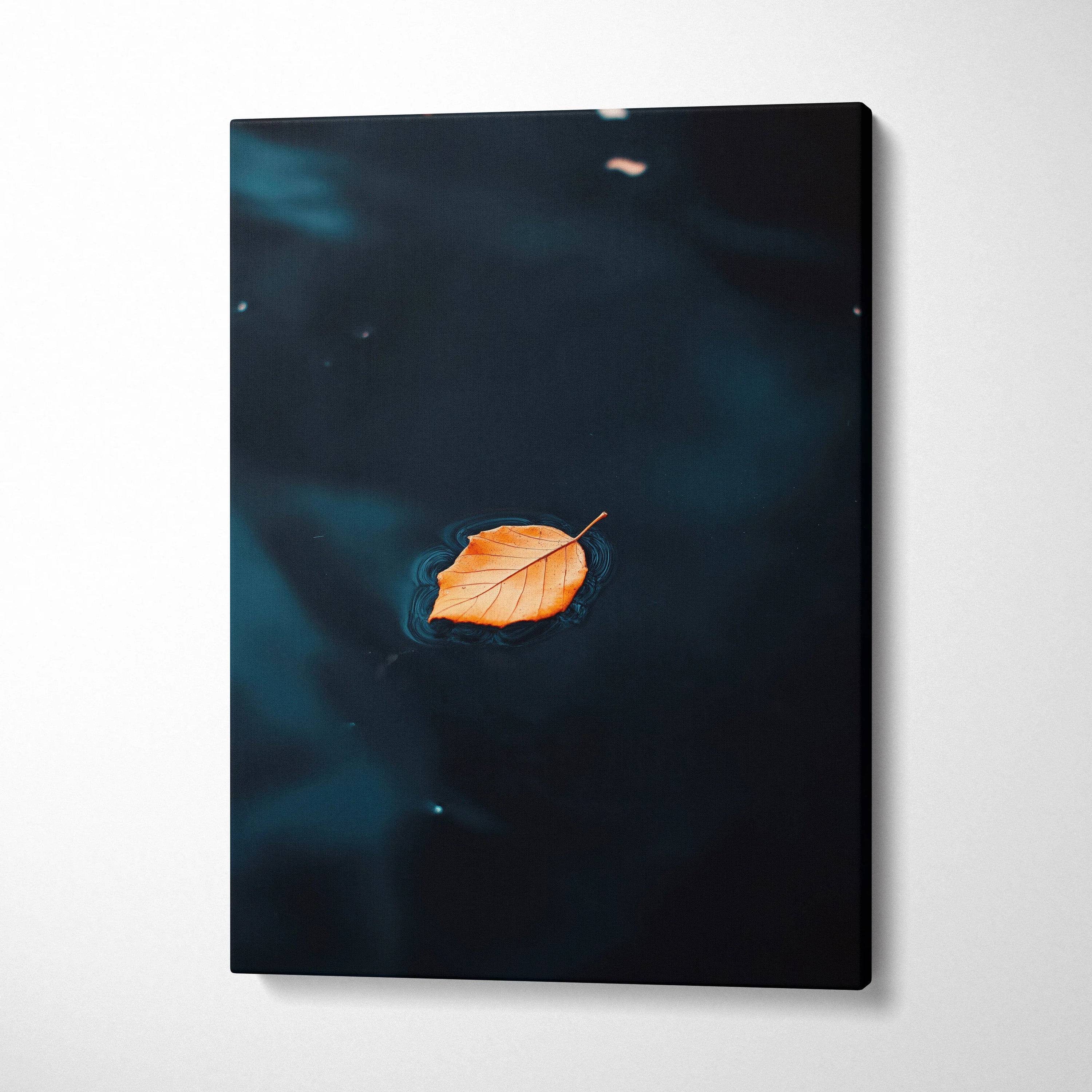 Minimalist autumn leaf floating on dark water canvas wall art print.