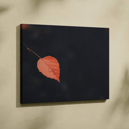 Minimalist autumn leaf on dark background canvas wall art for serene nature decor.