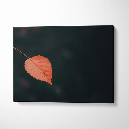 Minimalist autumn leaf digital art canvas wall art with dark serene background.
