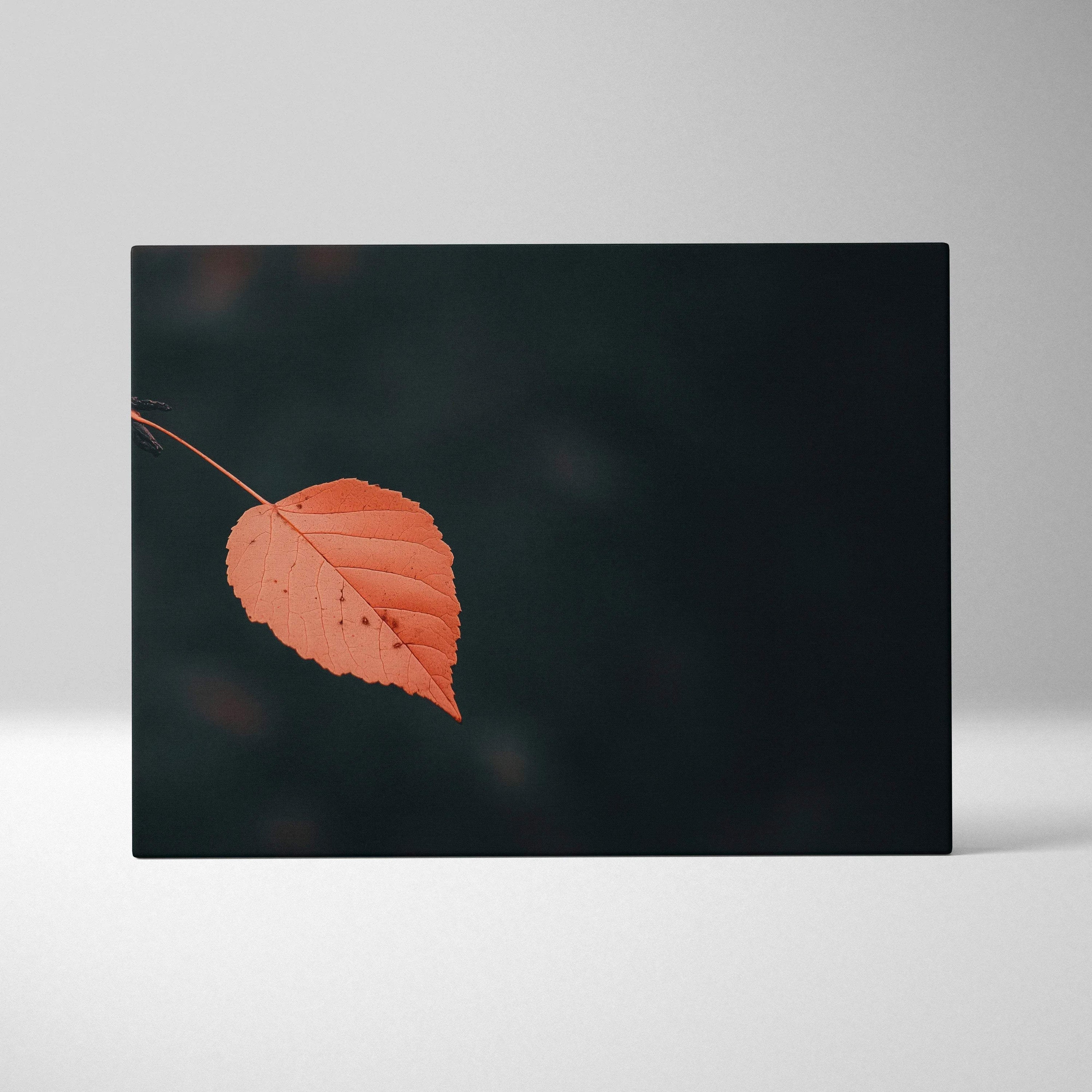 Minimalist autumn leaf in soft orange tones on dark background canvas wall art print.