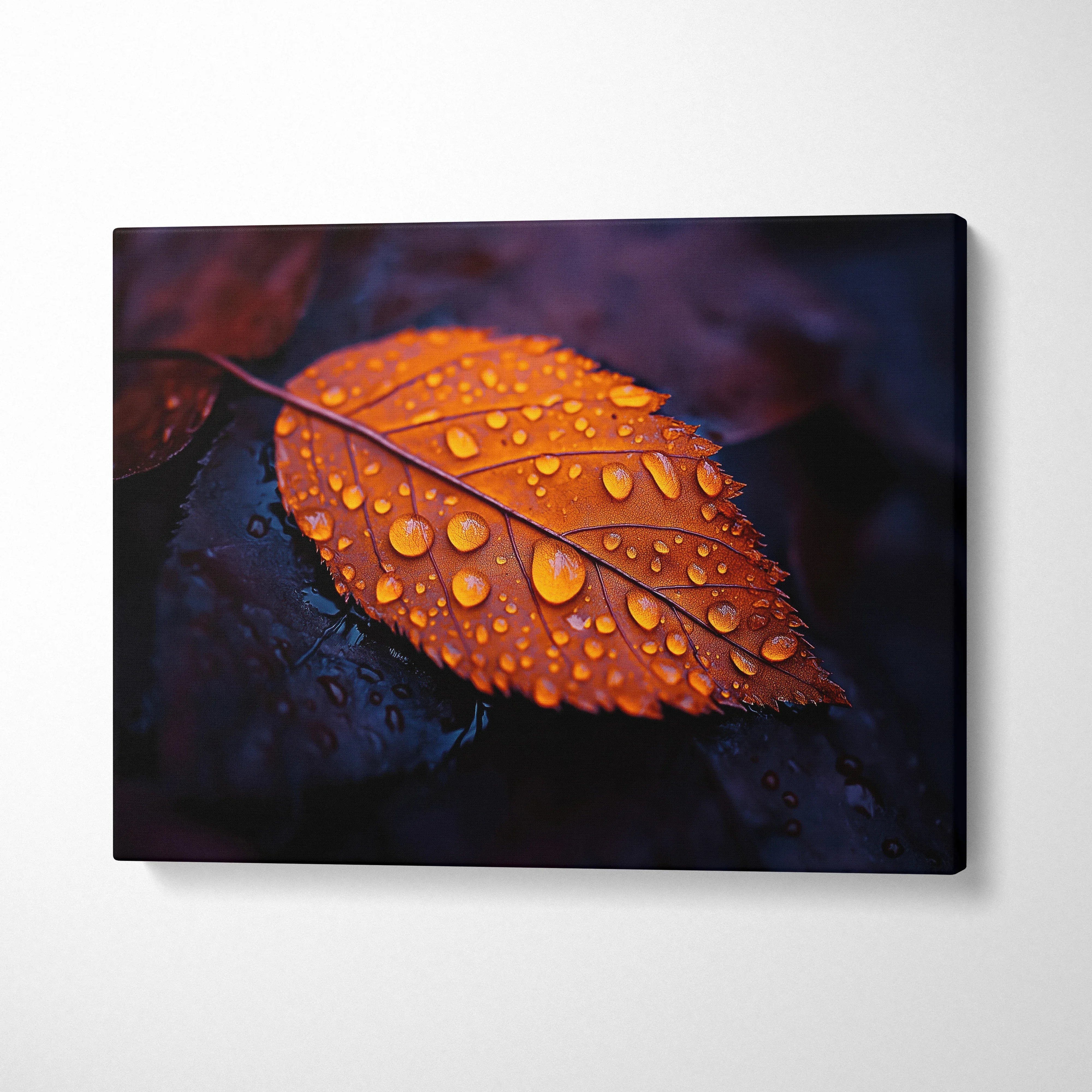Minimalist autumn canvas art featuring a golden leaf with water droplets on dark background wall art.