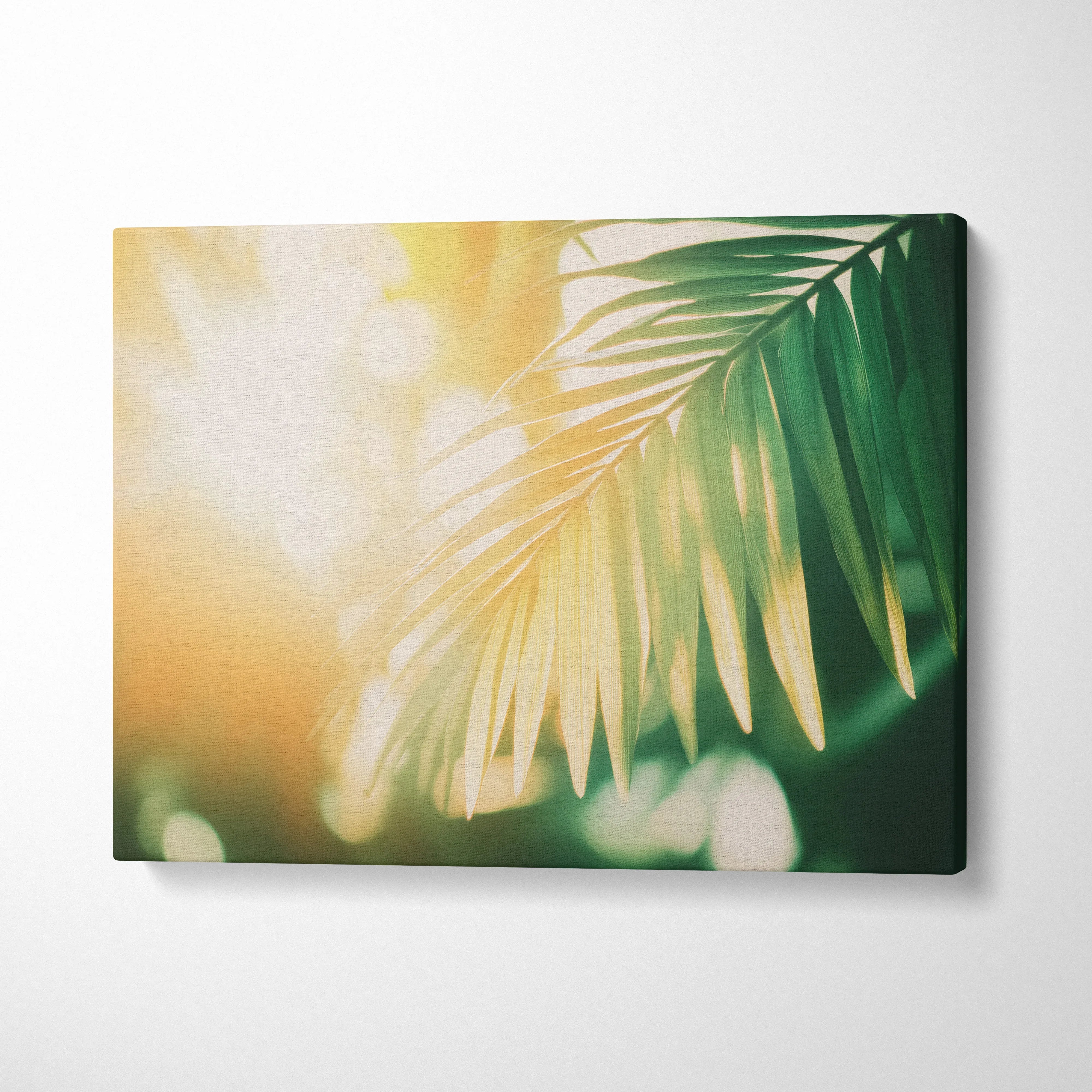 Canvas wall art featuring sunlit tropical palm leaves with a golden glow decor piece.