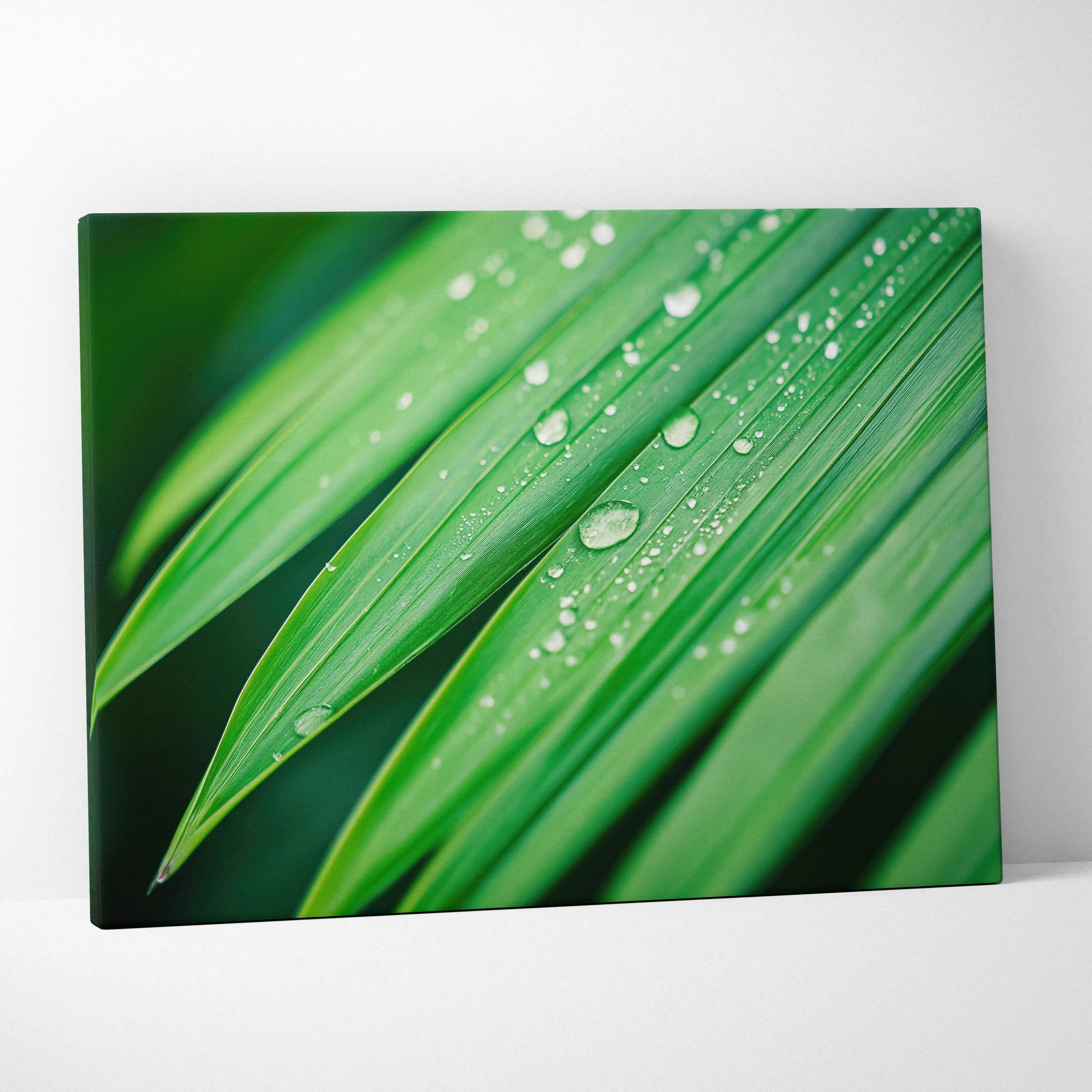 Canvas wall art featuring close-up digital art of vibrant green tropical leaves with clear water droplets.