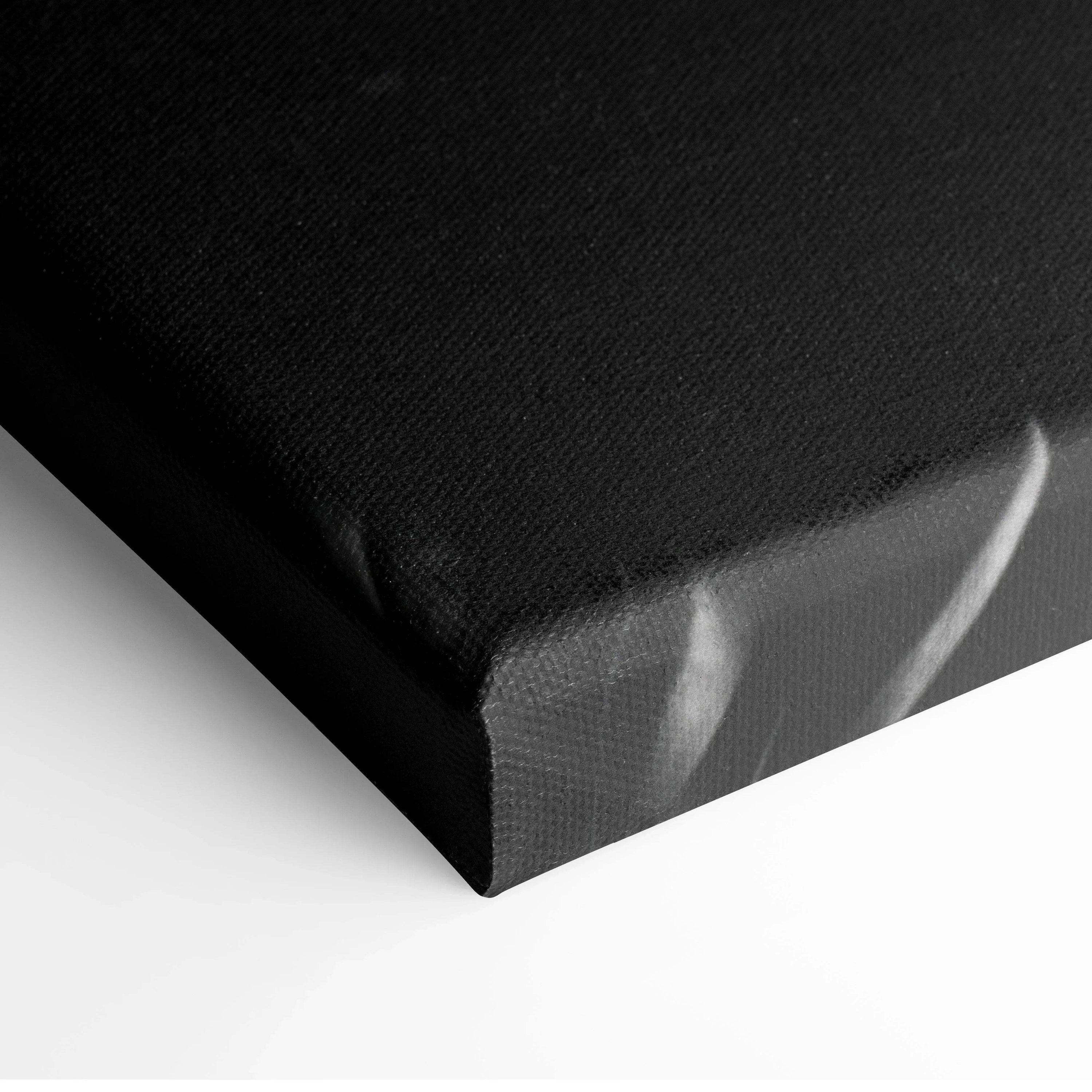 Black and white digital canvas print featuring detailed tropical leaves for modern wall decor.