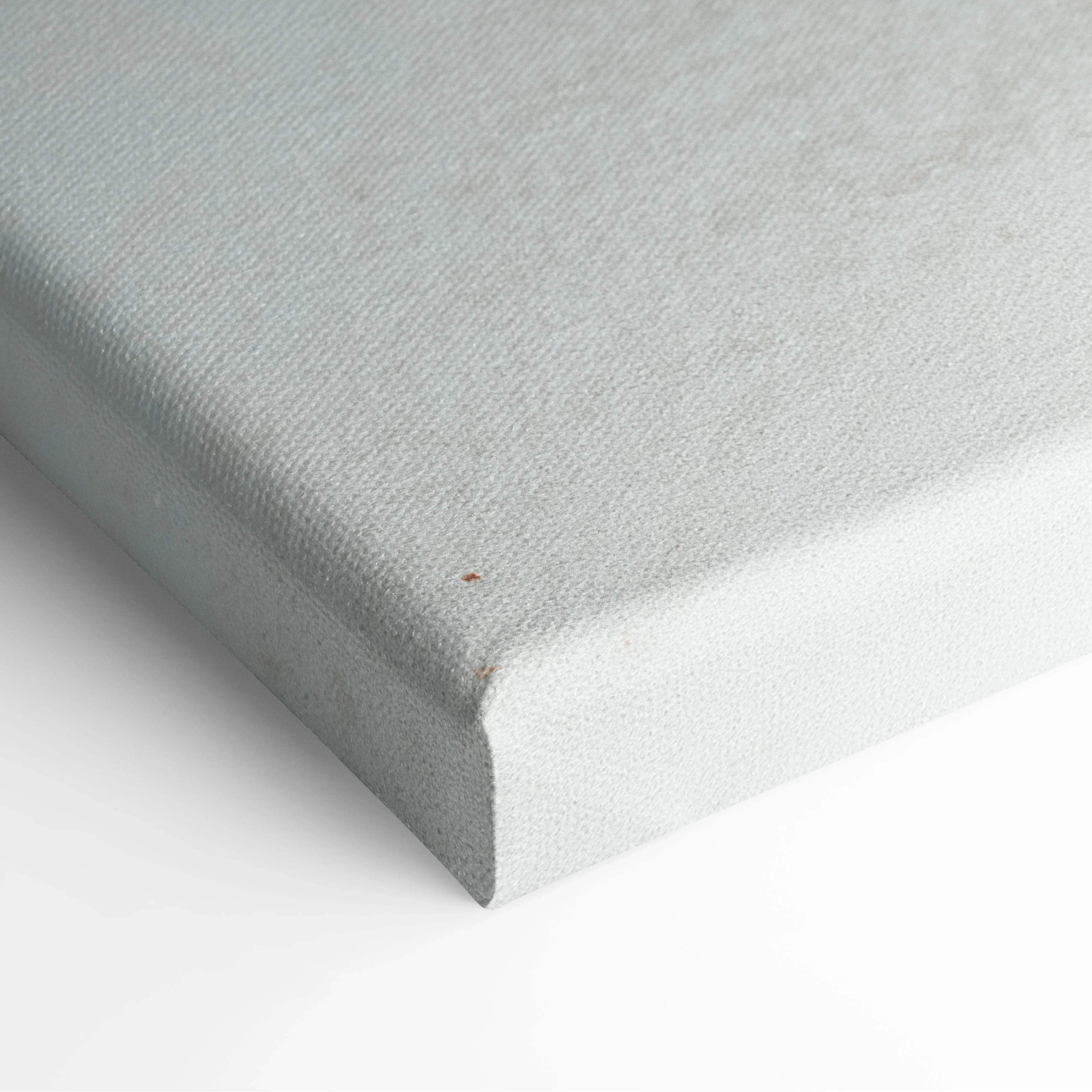 Gray tropical coconut canvas wall art with textured woven surface and raised edges for bright sunny coastal home decor