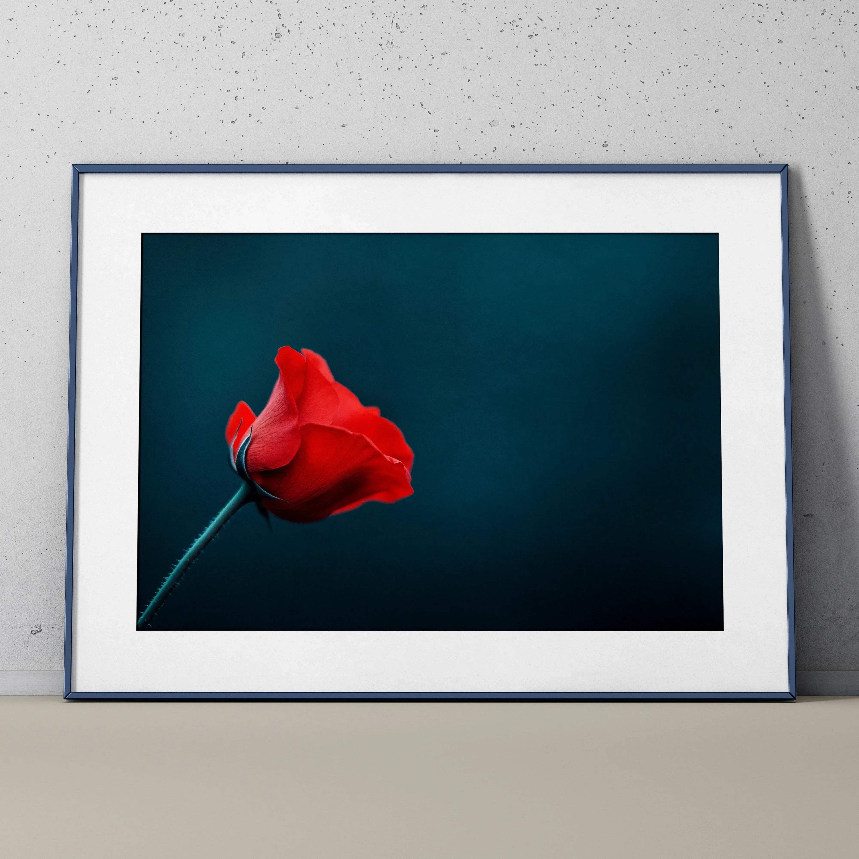 Red rose floral digital art poster with deep blue background in black frame wall art.