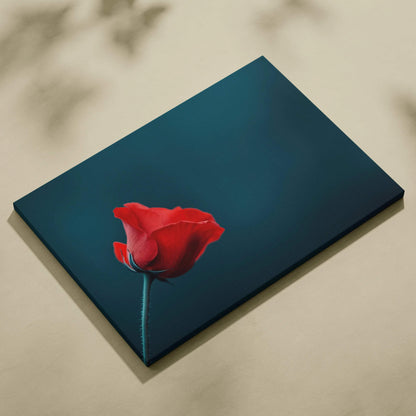 Canvas wall art featuring a single vibrant red flower on a dark blue background.