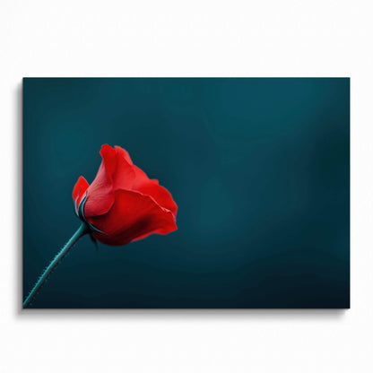 Vibrant red rose floral digital art poster with deep teal background wall art.