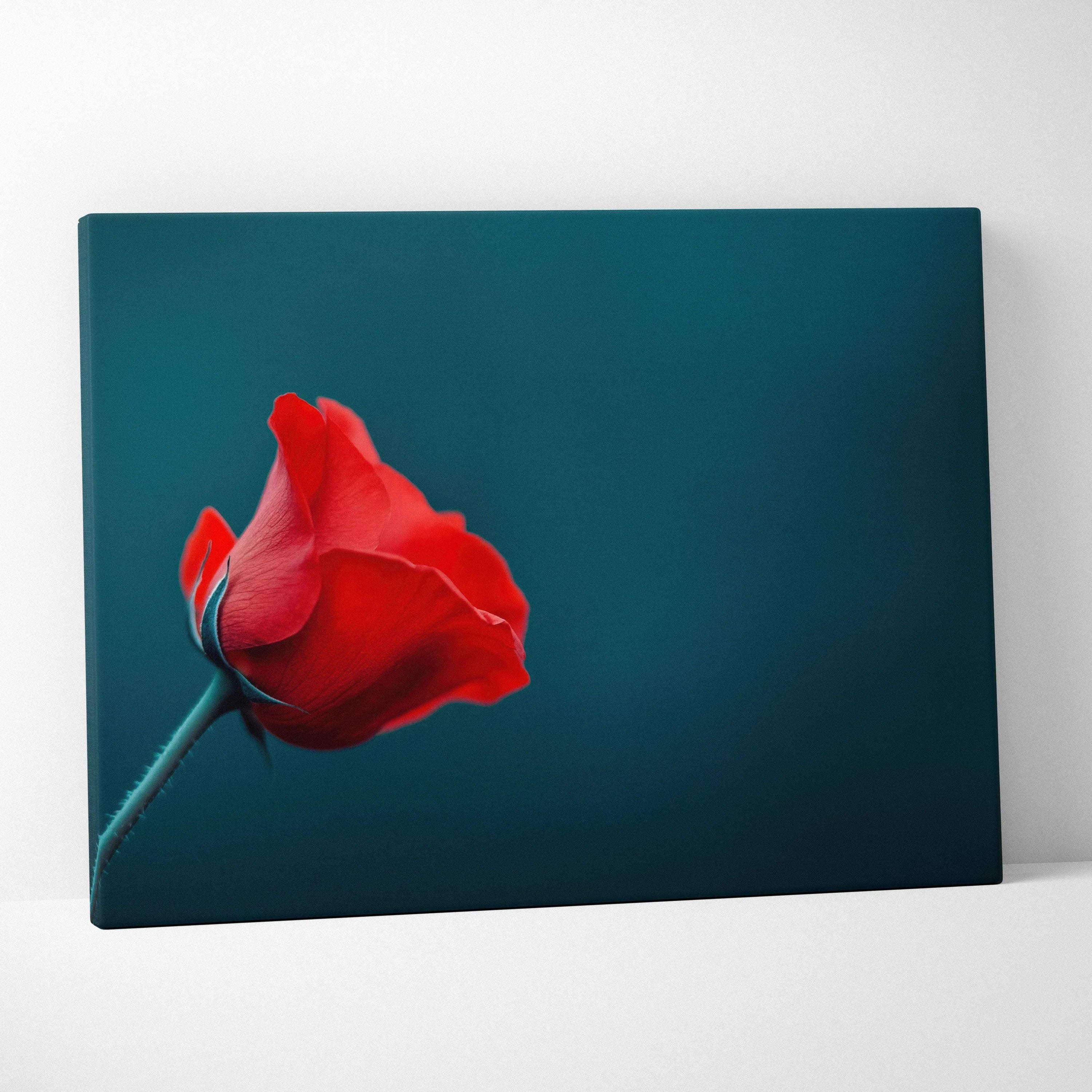 Red rose close-up on teal background canvas wall art print.