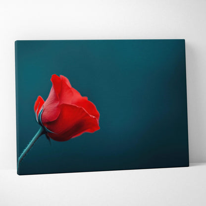 Red rose close-up on teal background canvas wall art print.