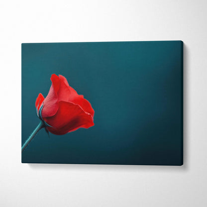 Red rose floral digital art on deep teal canvas wall art print in horizontal layout.