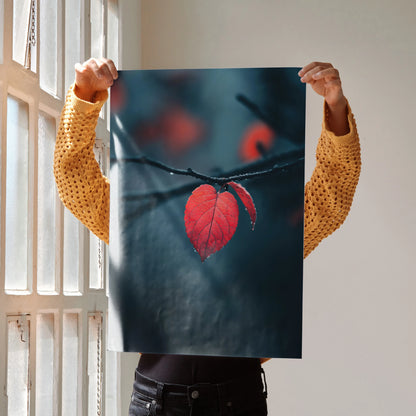 Autumn nature wall art poster featuring vibrant red fall leaf on dark blurred background.
