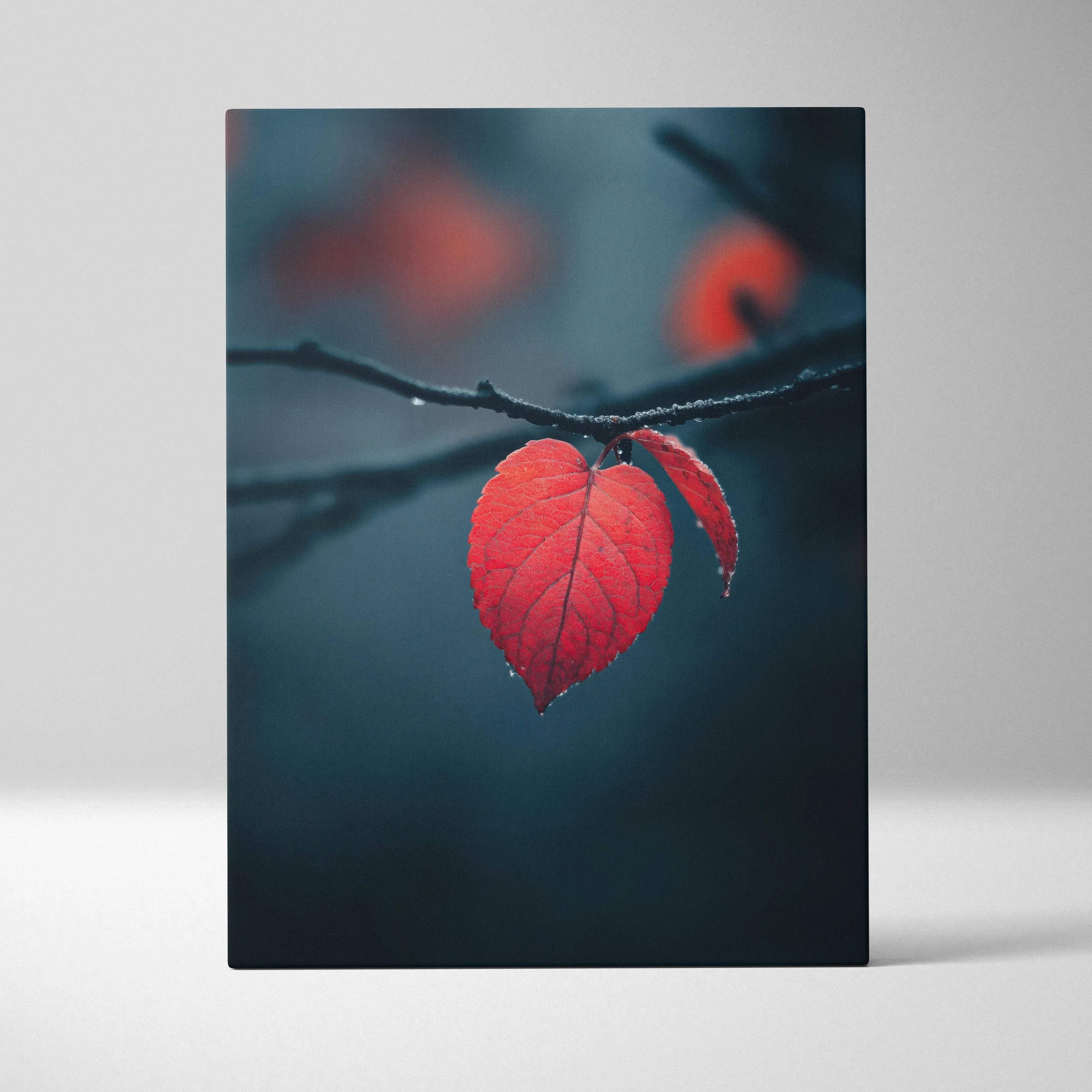 Red heart-shaped leaf on dark branch against blurred blue background canvas wall art.