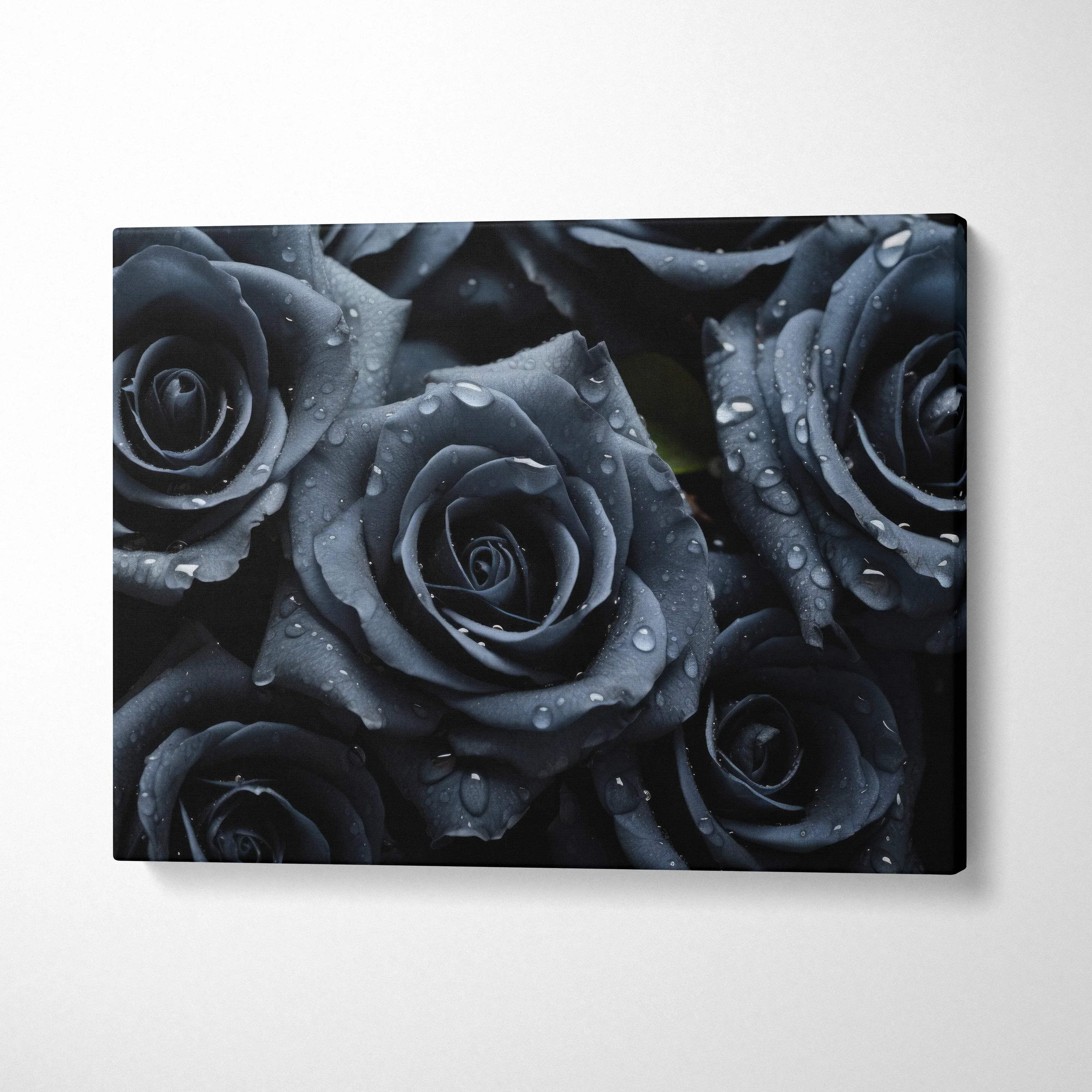 Black roses with dewy petals close-up floral canvas wall art decor.