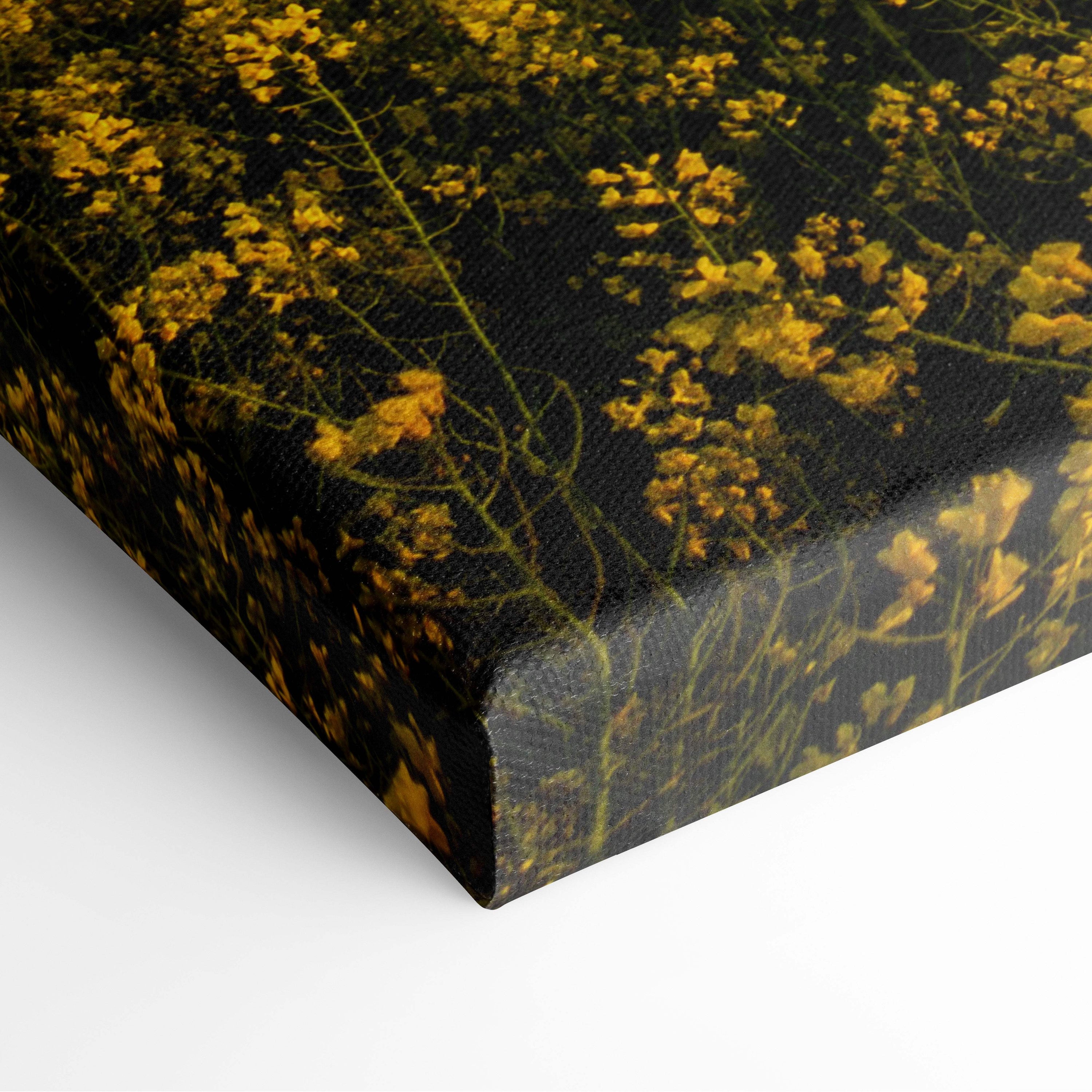 Storm over golden field canvas art featuring golden yellow wildflowers on black fabric with textured stretched print