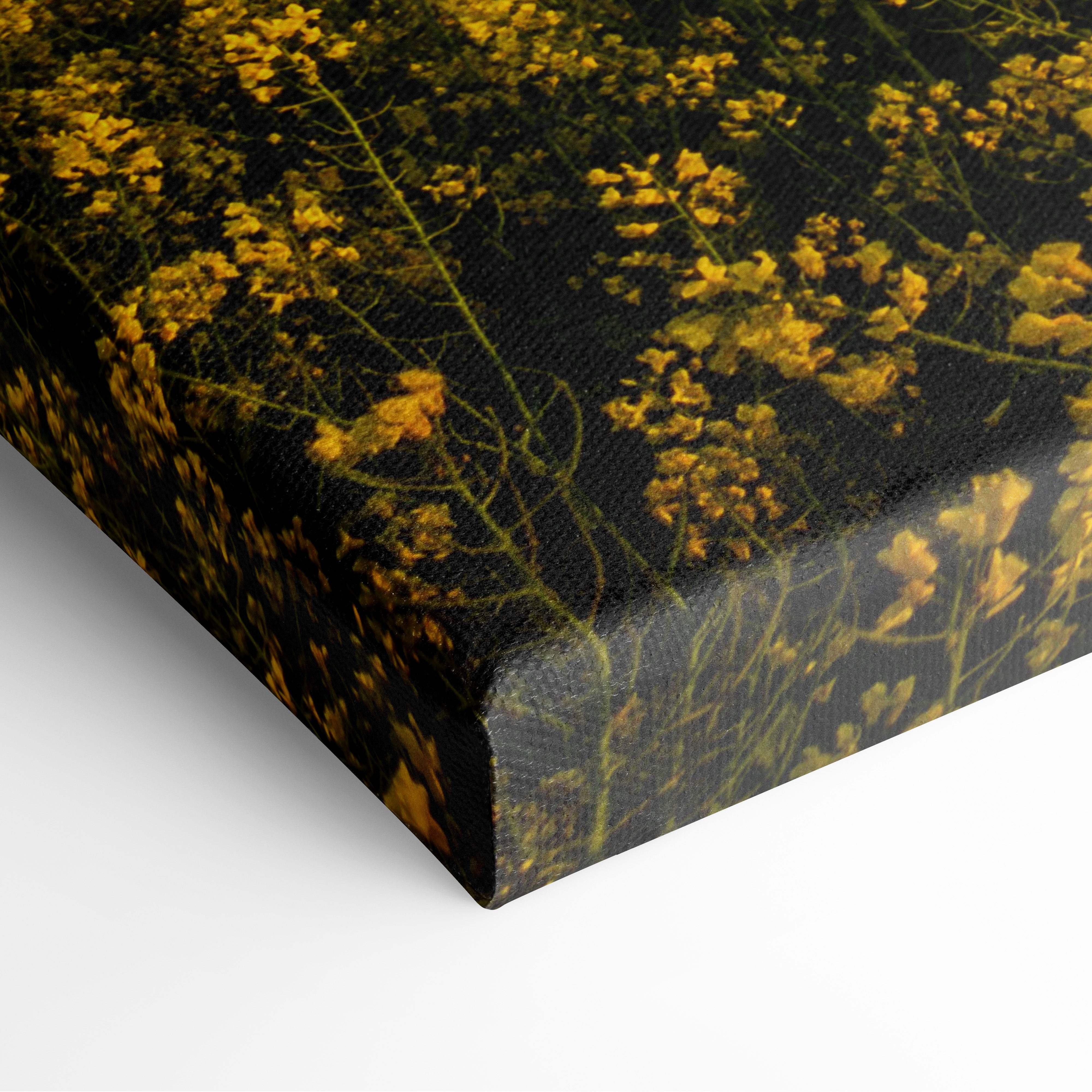 Storm over golden field canvas art featuring golden yellow wildflowers on black fabric with textured stretched print