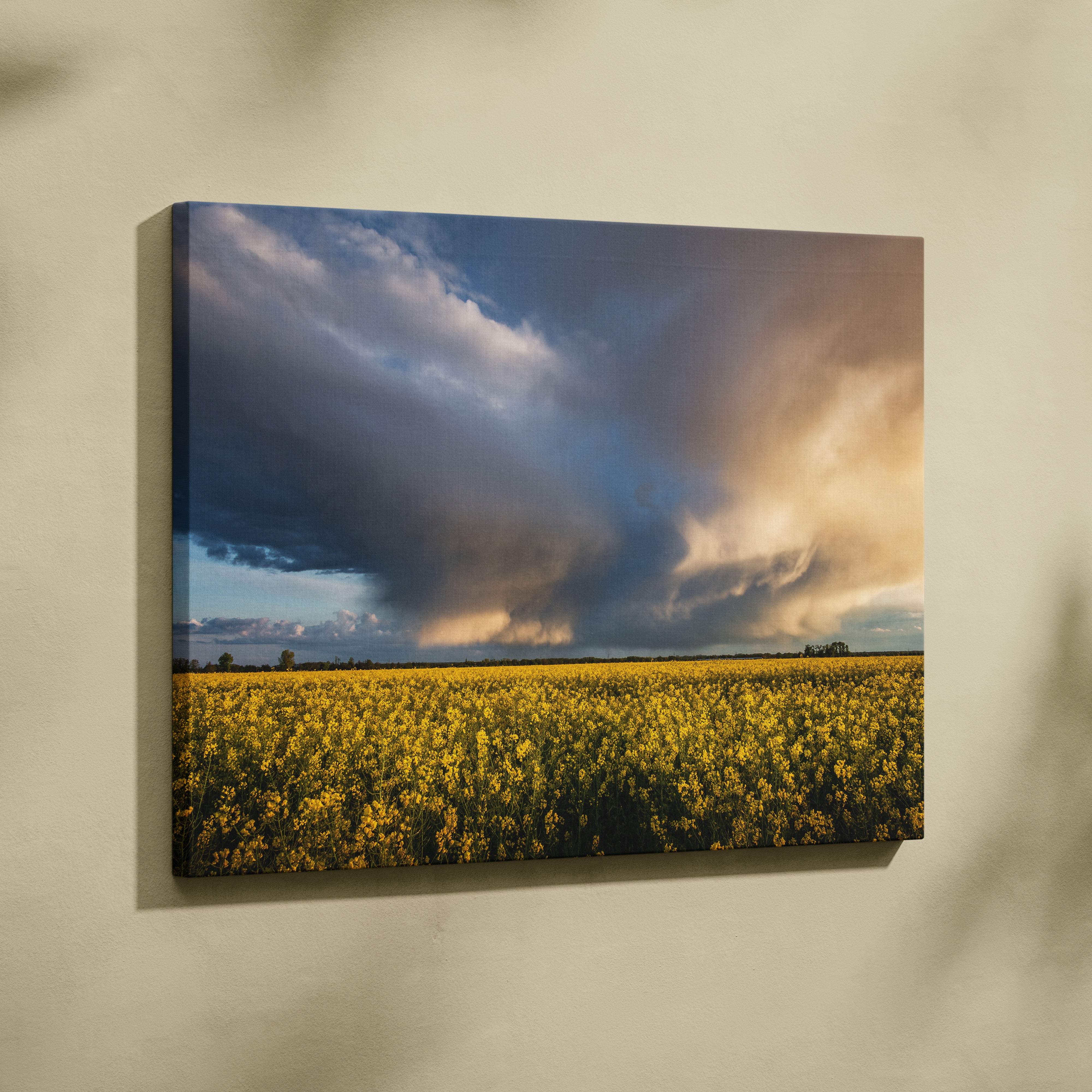 Rectangular canvas print of a dramatic sky with dark stormy clouds and golden light over a yellow flower field wall decor