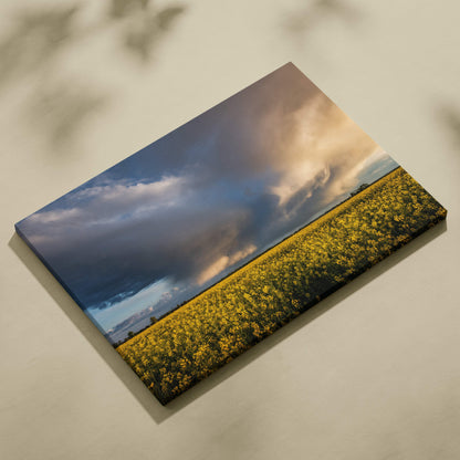 Rectangular canvas art featuring a vibrant yellow flower field under dramatic cloudy skies for wall decor