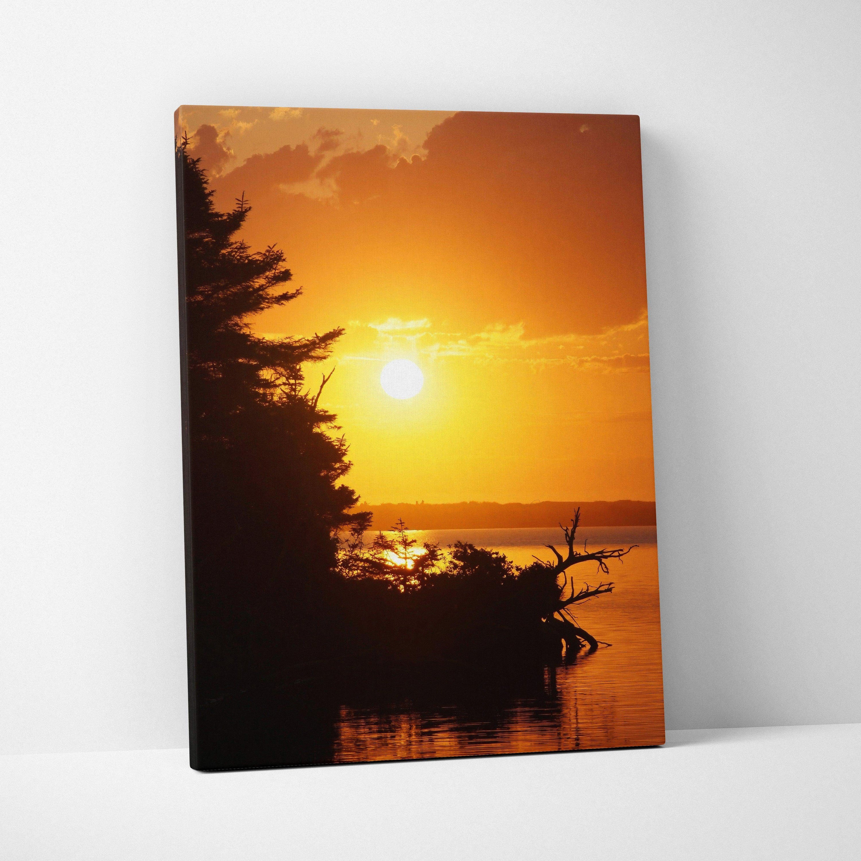Sunset over calm beach water with silhouetted trees on canvas wall art.