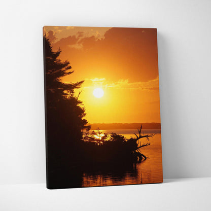 Sunset over calm beach water with silhouetted trees on canvas wall art.