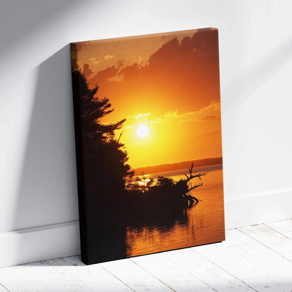 Canvas wall art featuring a vibrant beach sunset with silhouetted trees over calm water.