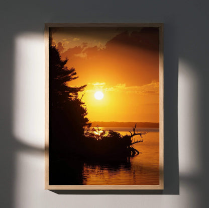 Vertical sunset poster with golden sun over silhouetted trees and calm water wall art.