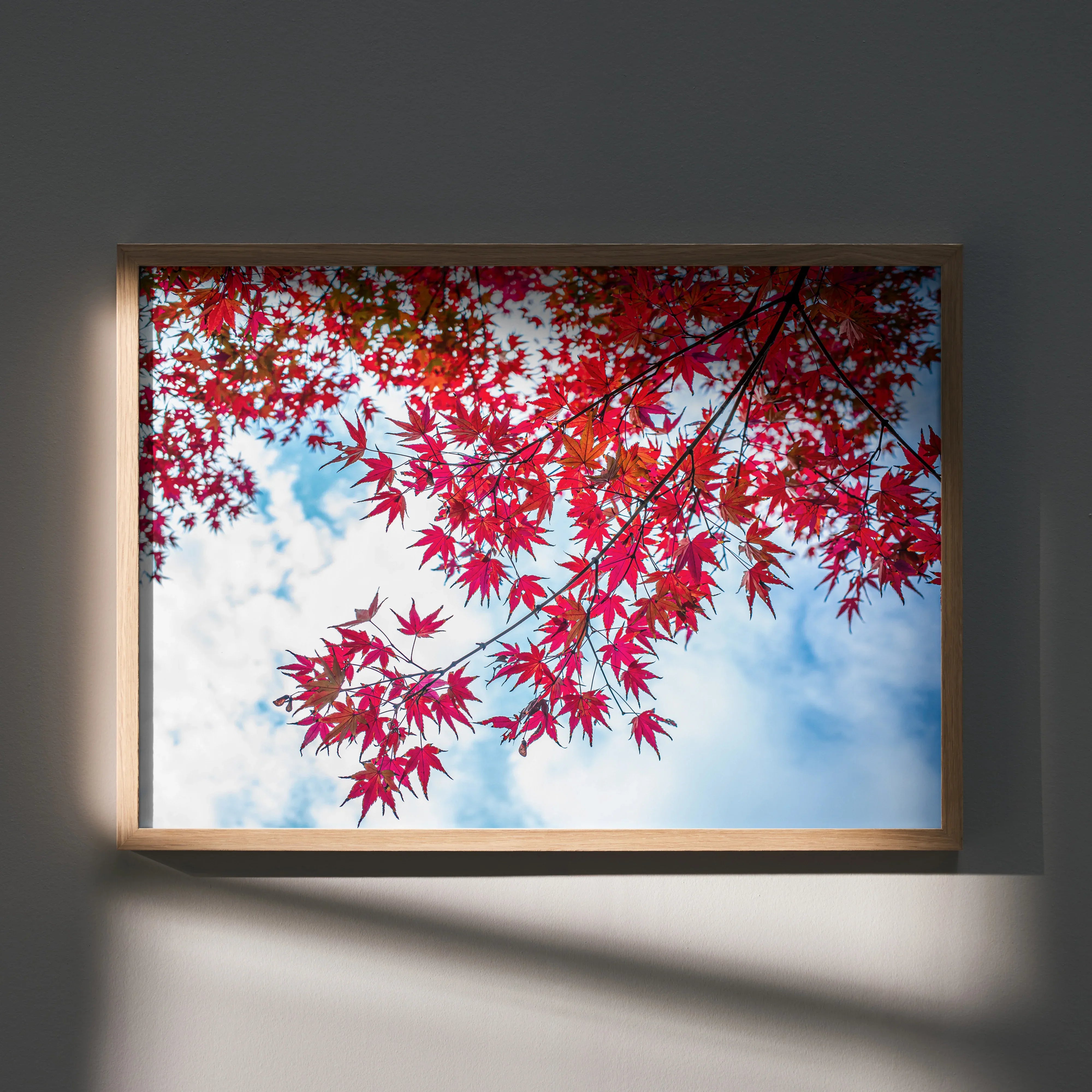 Autumn leaves in bright red against a blue sky poster in a wooden frame wall art.