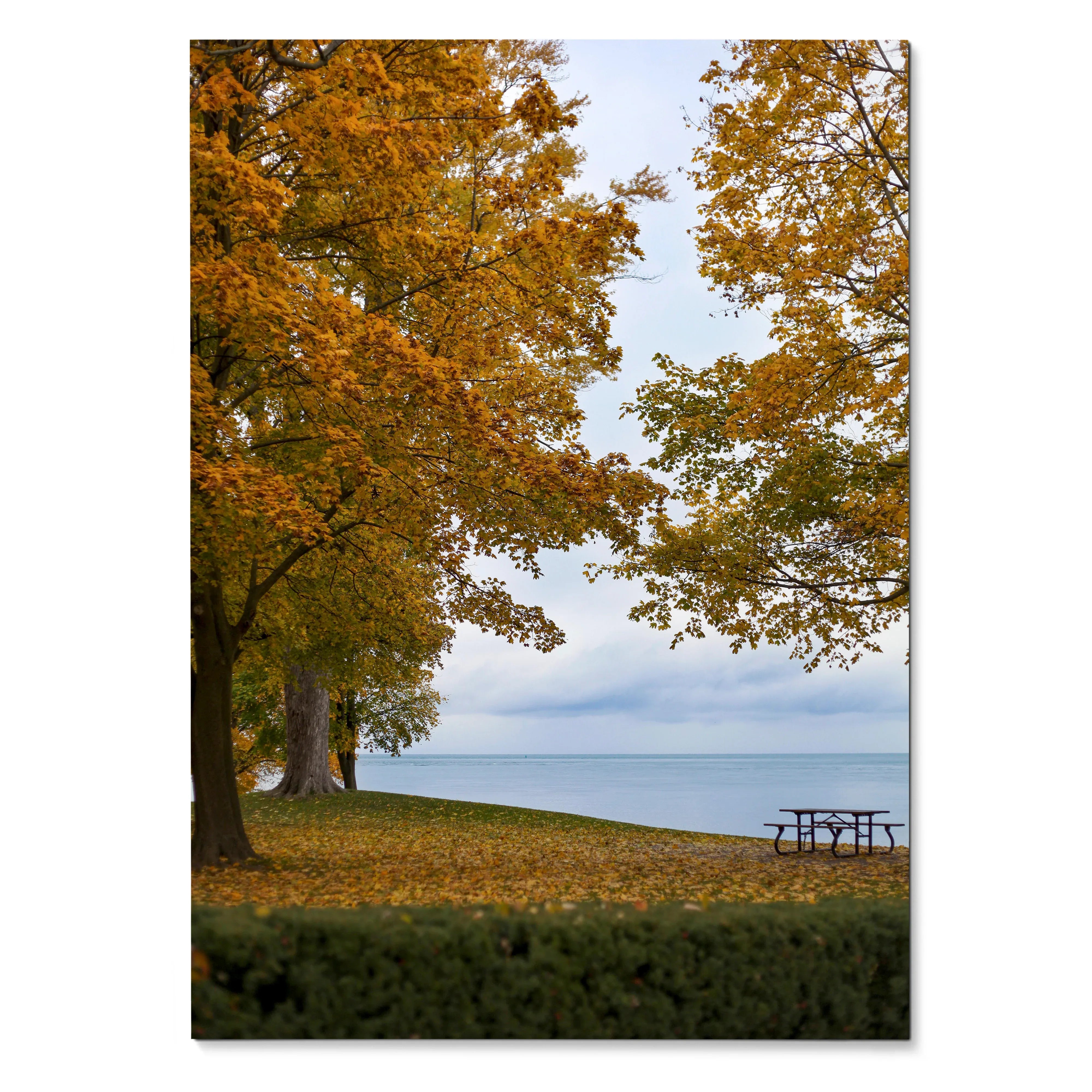 Vertical autumn nature poster with golden leaves by lakeside, vibrant fall wall art.