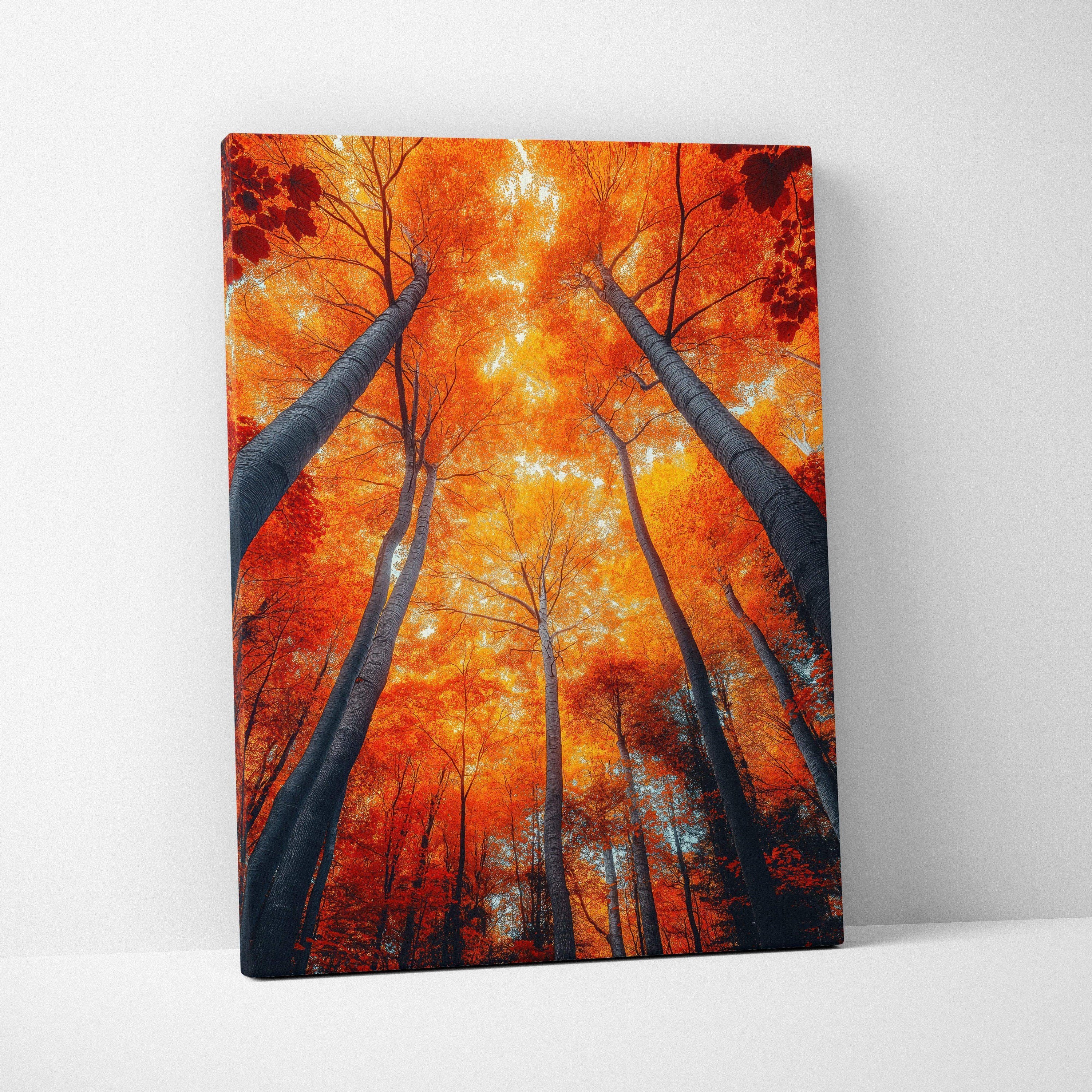 Autumn forest canvas wall art with vibrant orange leaves viewed from below.