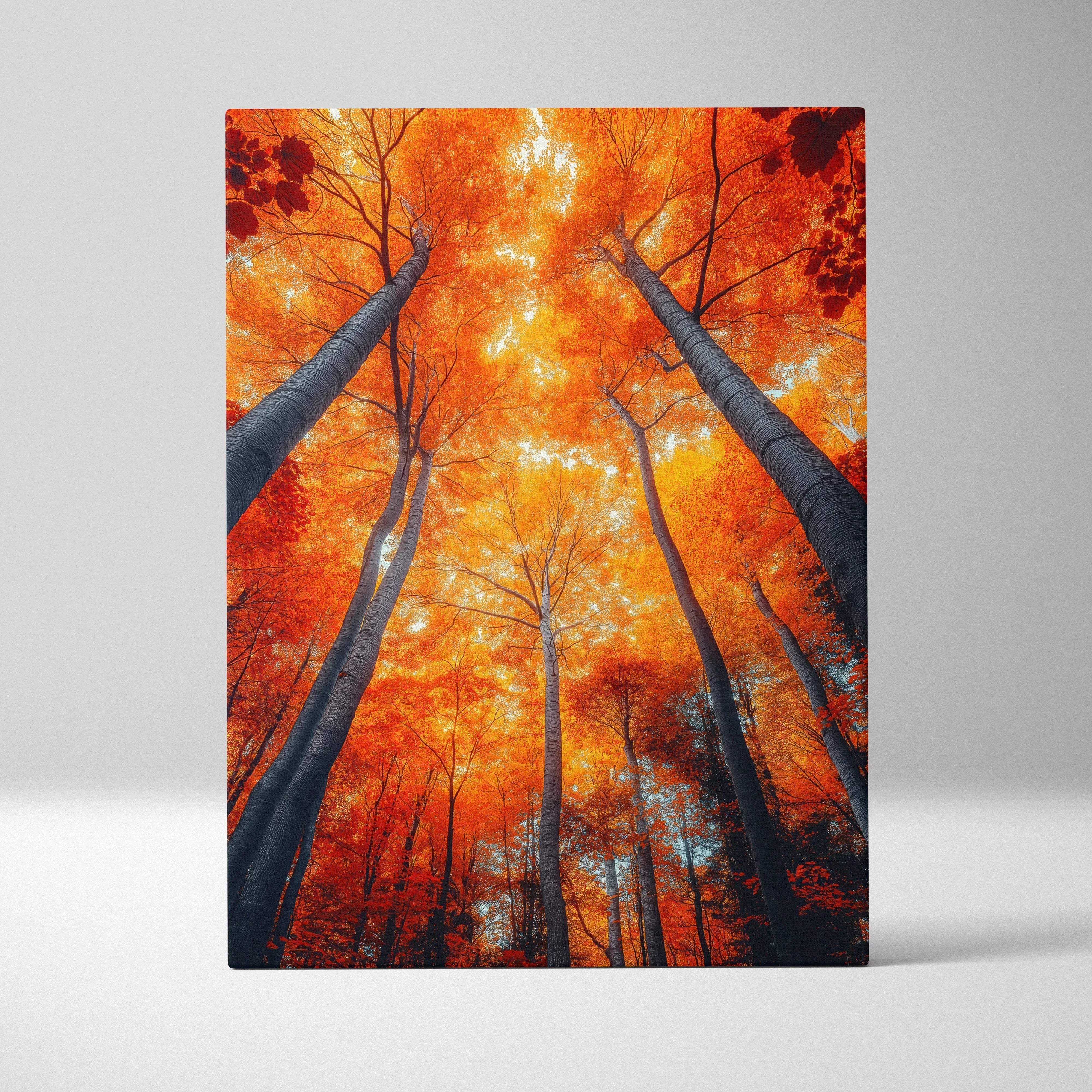 Vibrant autumn landscape canvas wall art featuring tall trees with bare trunks in fiery orange and red forest scene