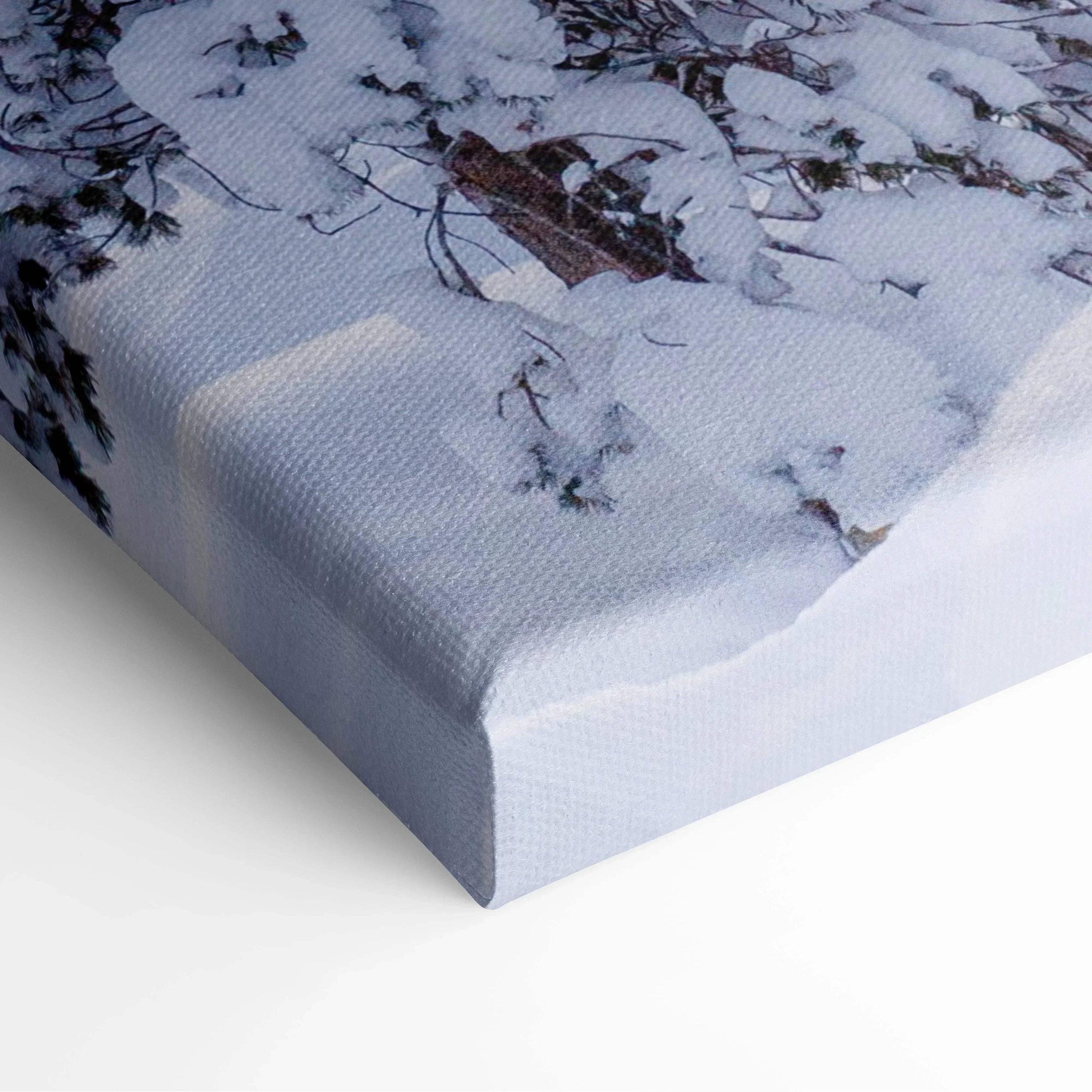 Canvas wall art featuring detailed snowy branches with soft sunset hues in the background.