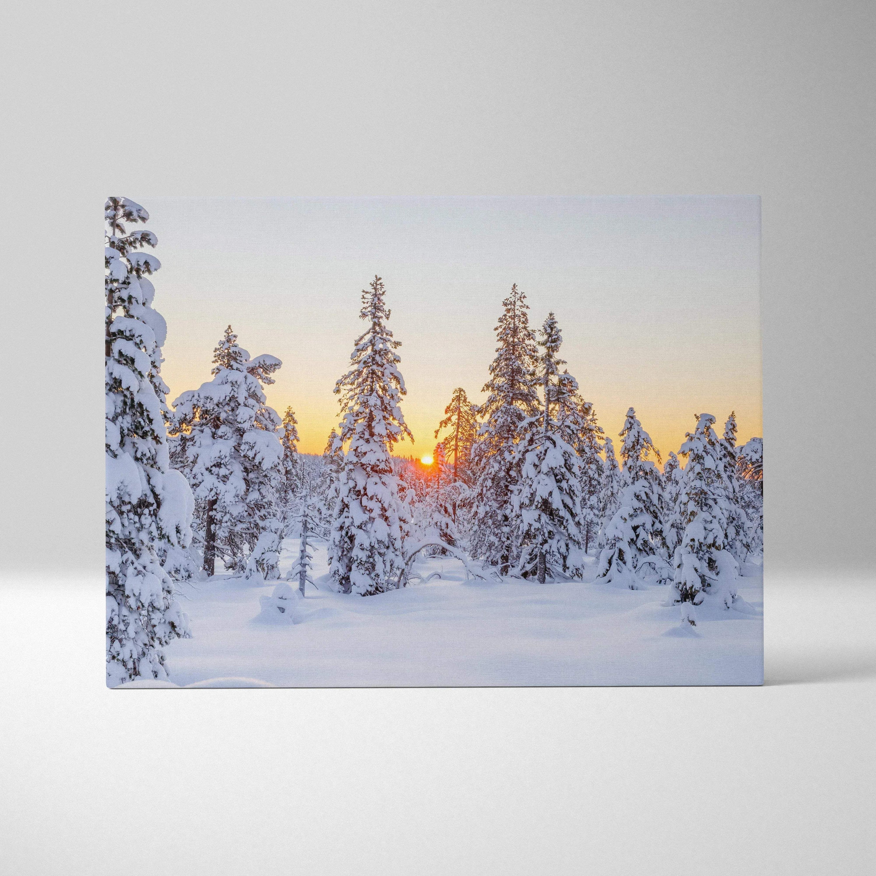 Snowy forest landscape with sunset sky on canvas wall art print.