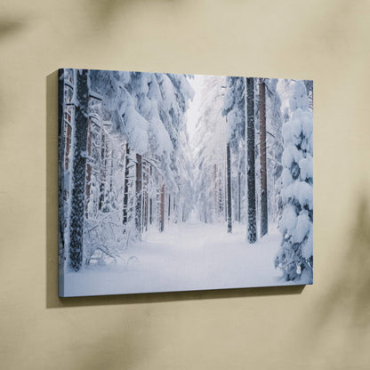 Winter snowy forest landscape canvas wall art with tall snow-covered pine trees and soft light decor.