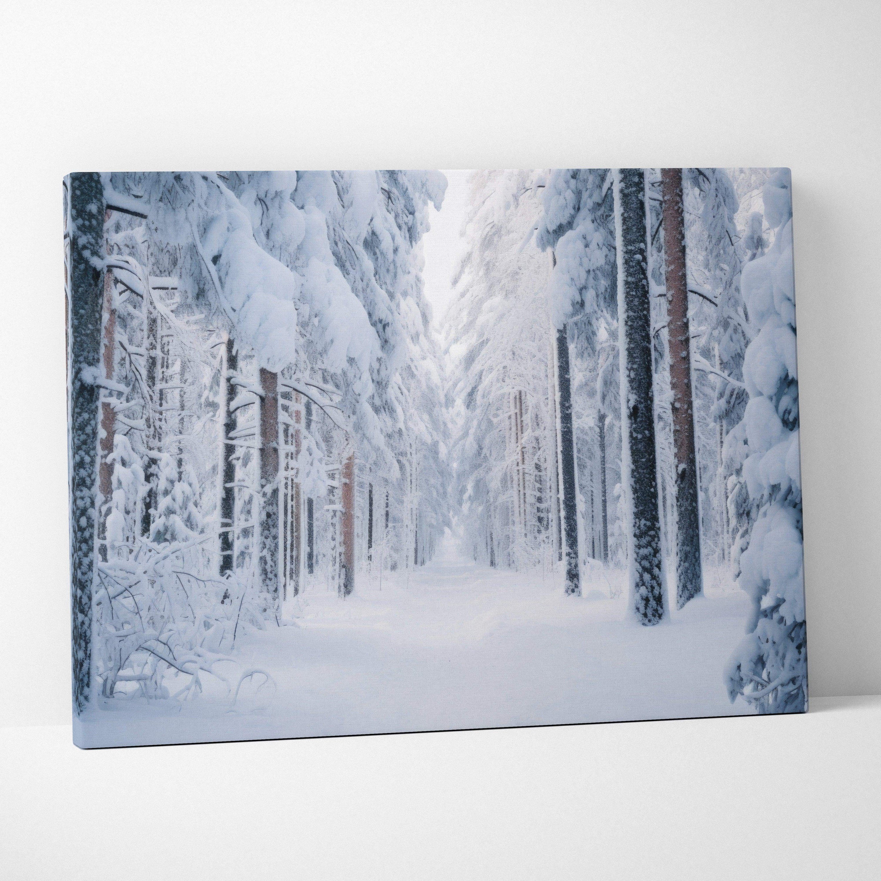 Winter snowy forest canvas wall art with tall snow-covered trees and soft light decor.