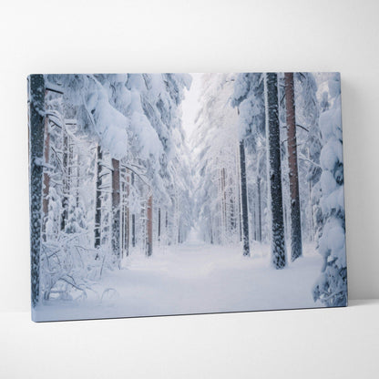 Winter snowy forest canvas wall art with tall snow-covered trees and soft light decor.