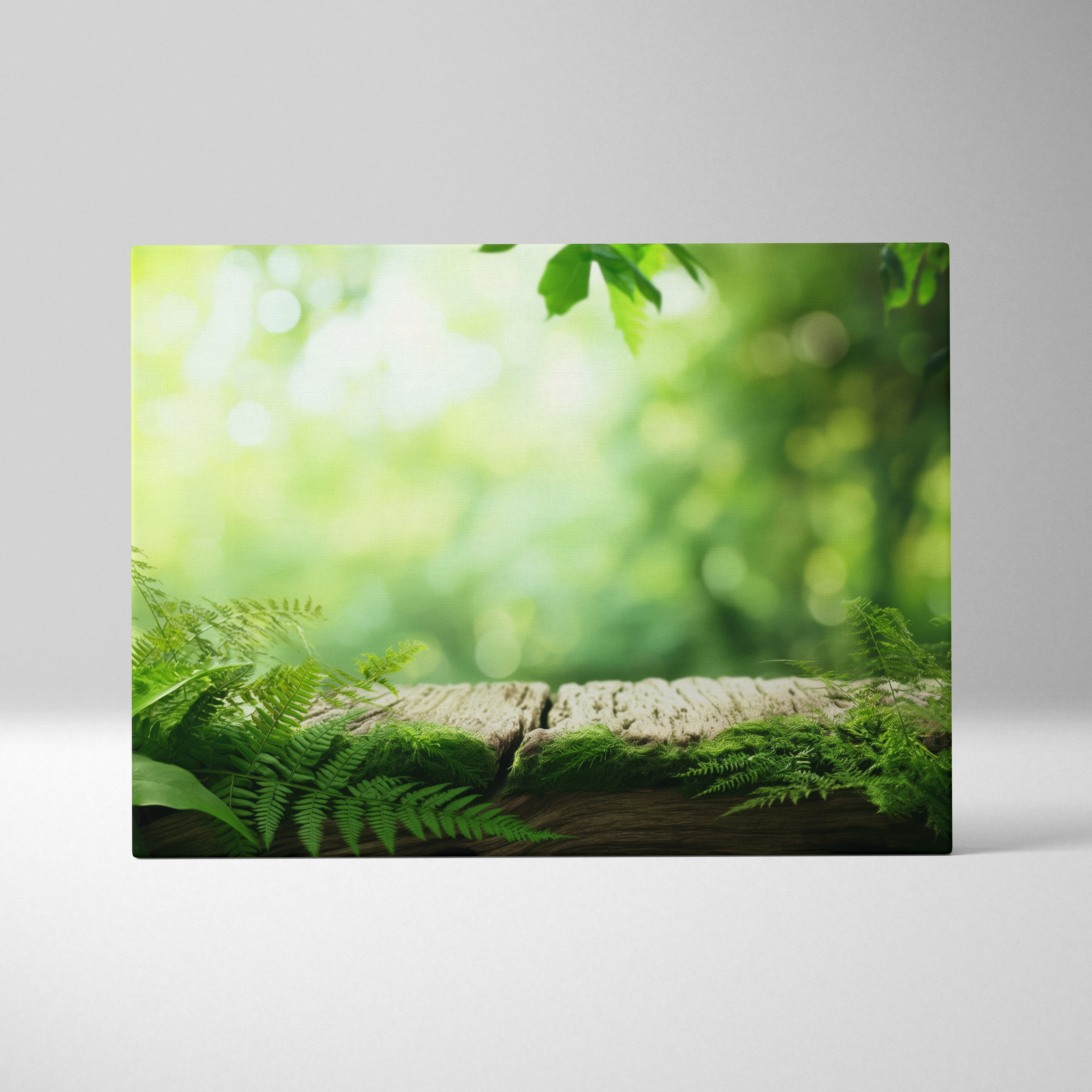 Green leafy fern and moss on aged wooden plank nature landscape canvas wall art print.