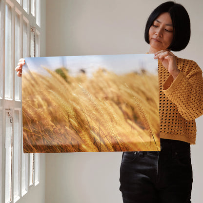 Serene nature landscape wall art poster featuring golden wheat field under soft light.