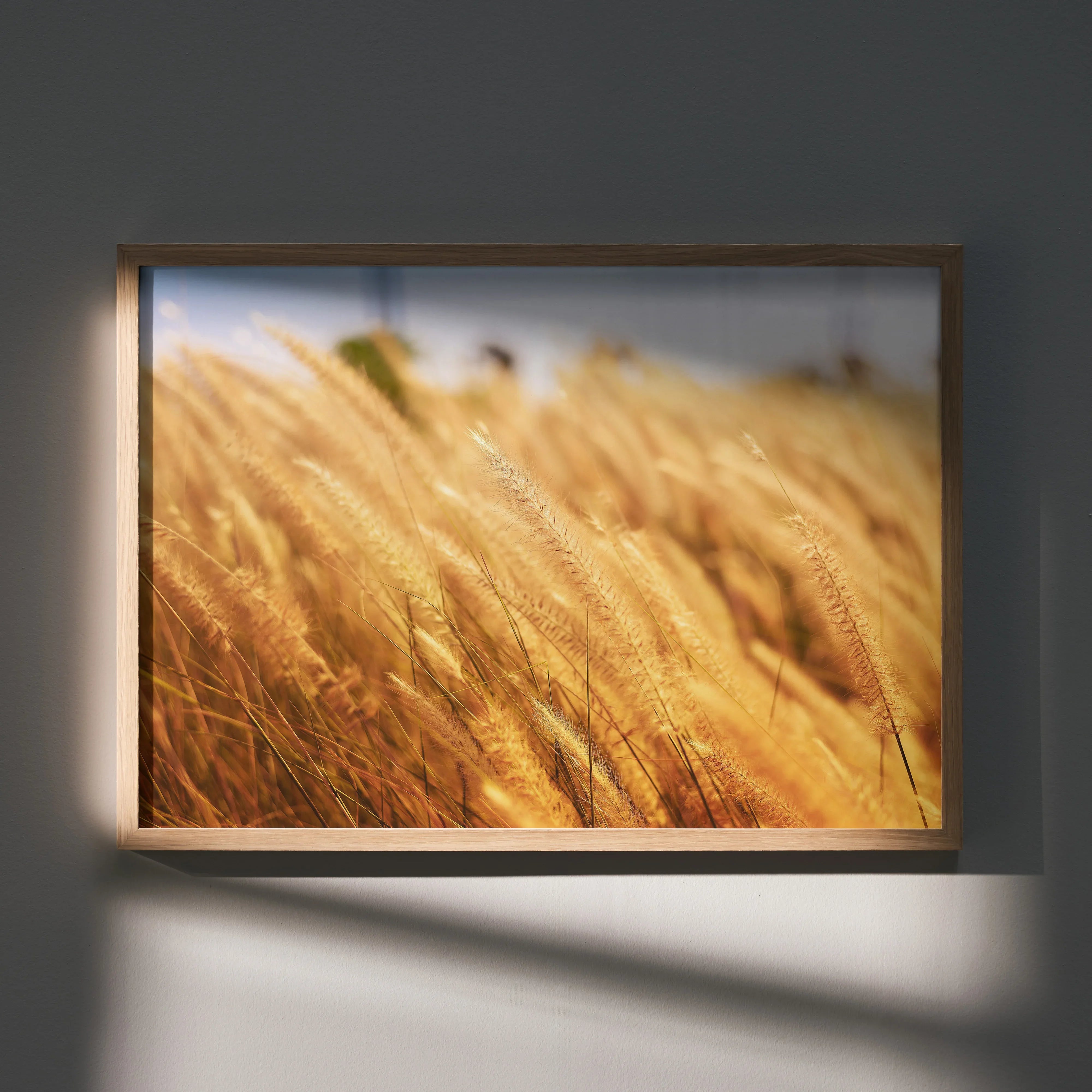 Serene nature landscape poster featuring golden wheat field with soft sunlight, wall art in wooden frame.