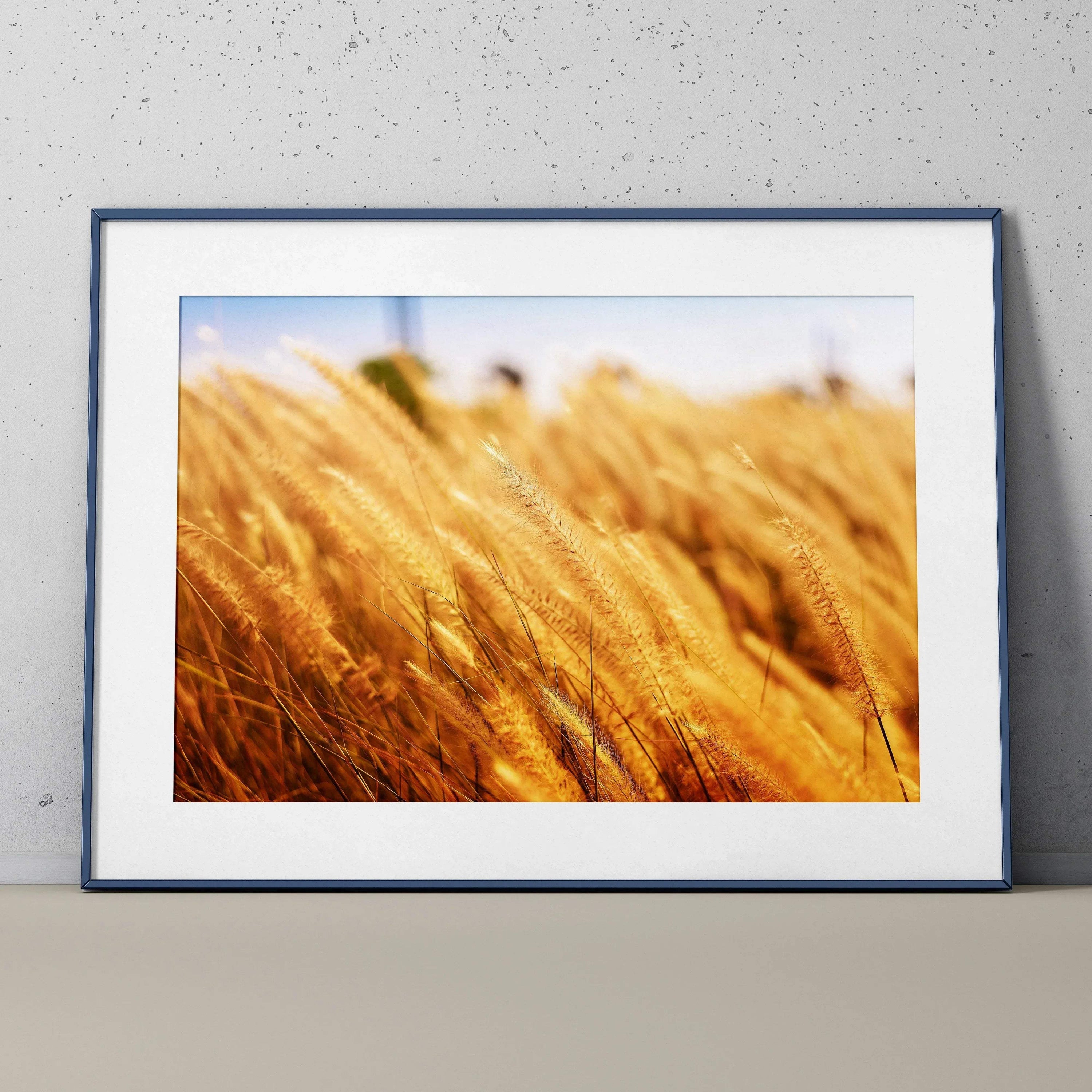 Serene nature landscape poster featuring golden wheat field in soft sunlight, framed wall art.